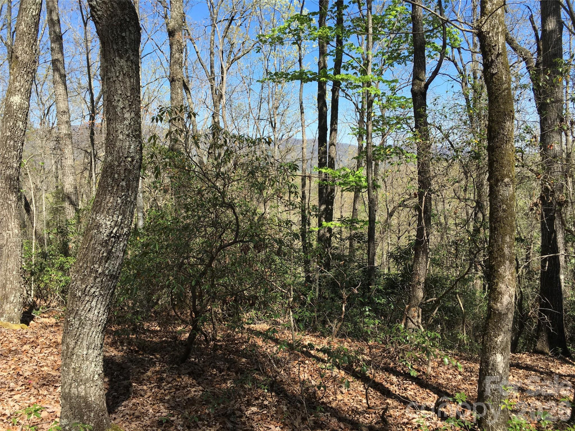 00 Lytle Mountain Road - Photo 37