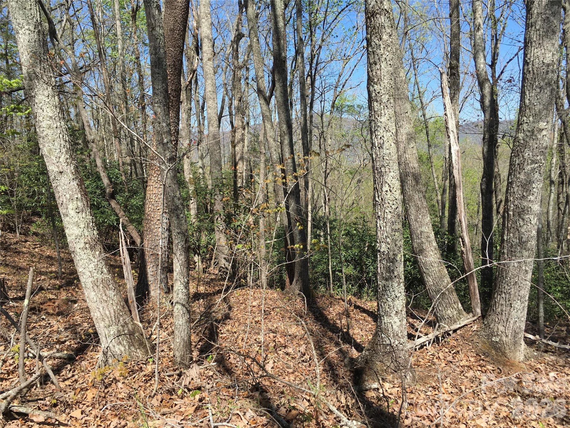 00 Lytle Mountain Road - Photo 38