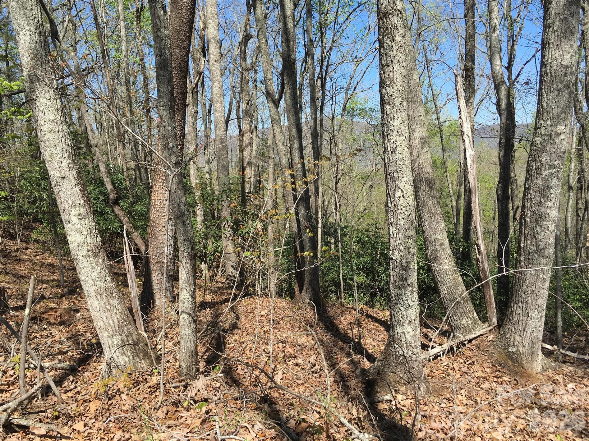 00 Lytle Mountain Road - Photo 38