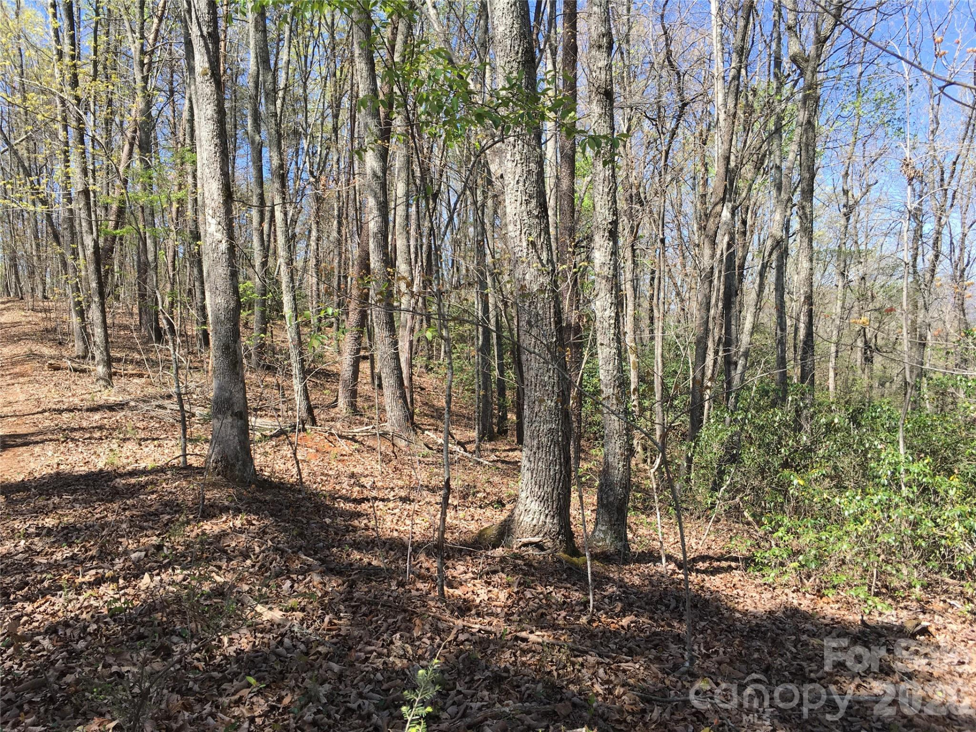 00 Lytle Mountain Road - Photo 39