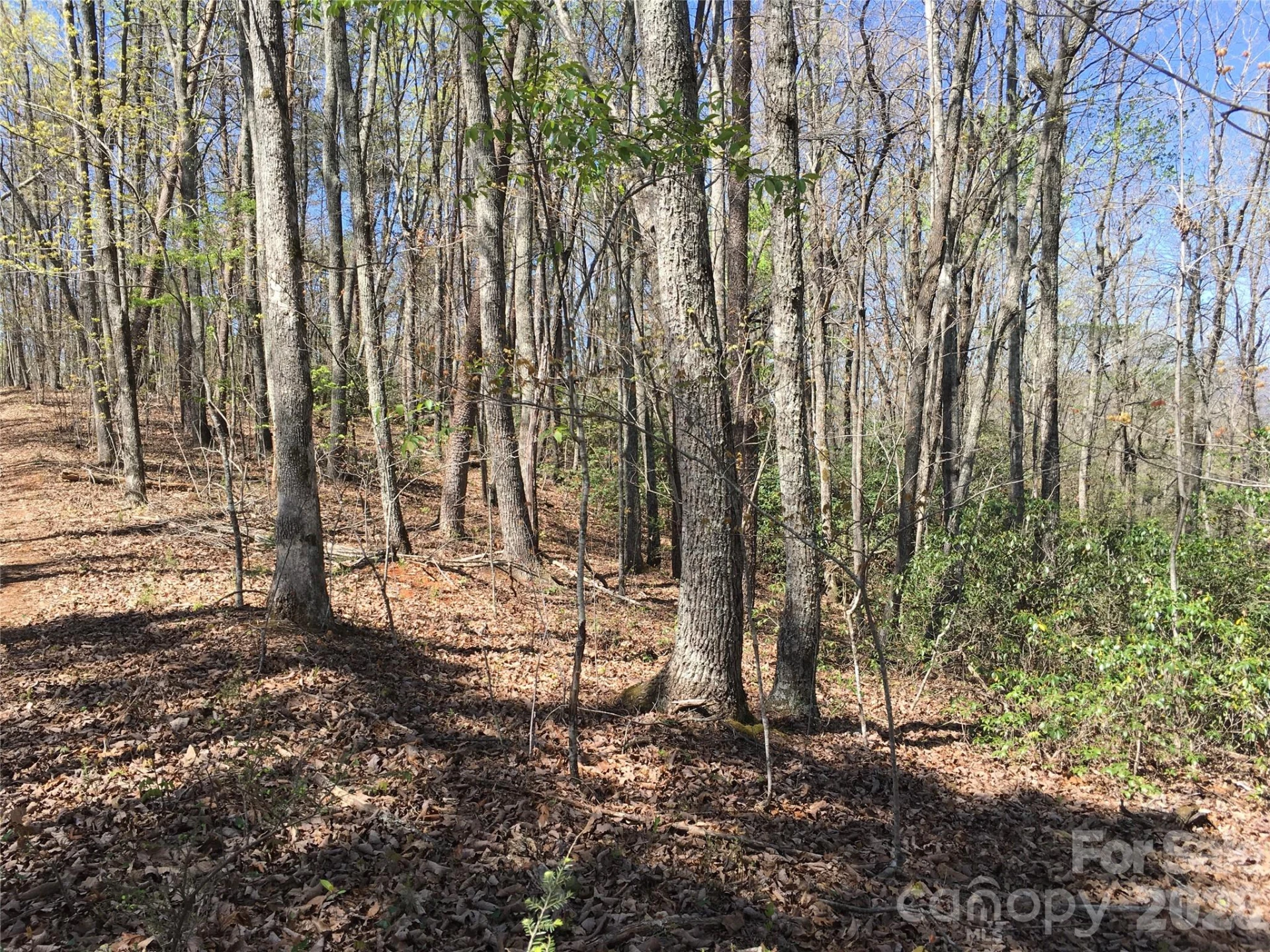 00 Lytle Mountain Road - Photo 39