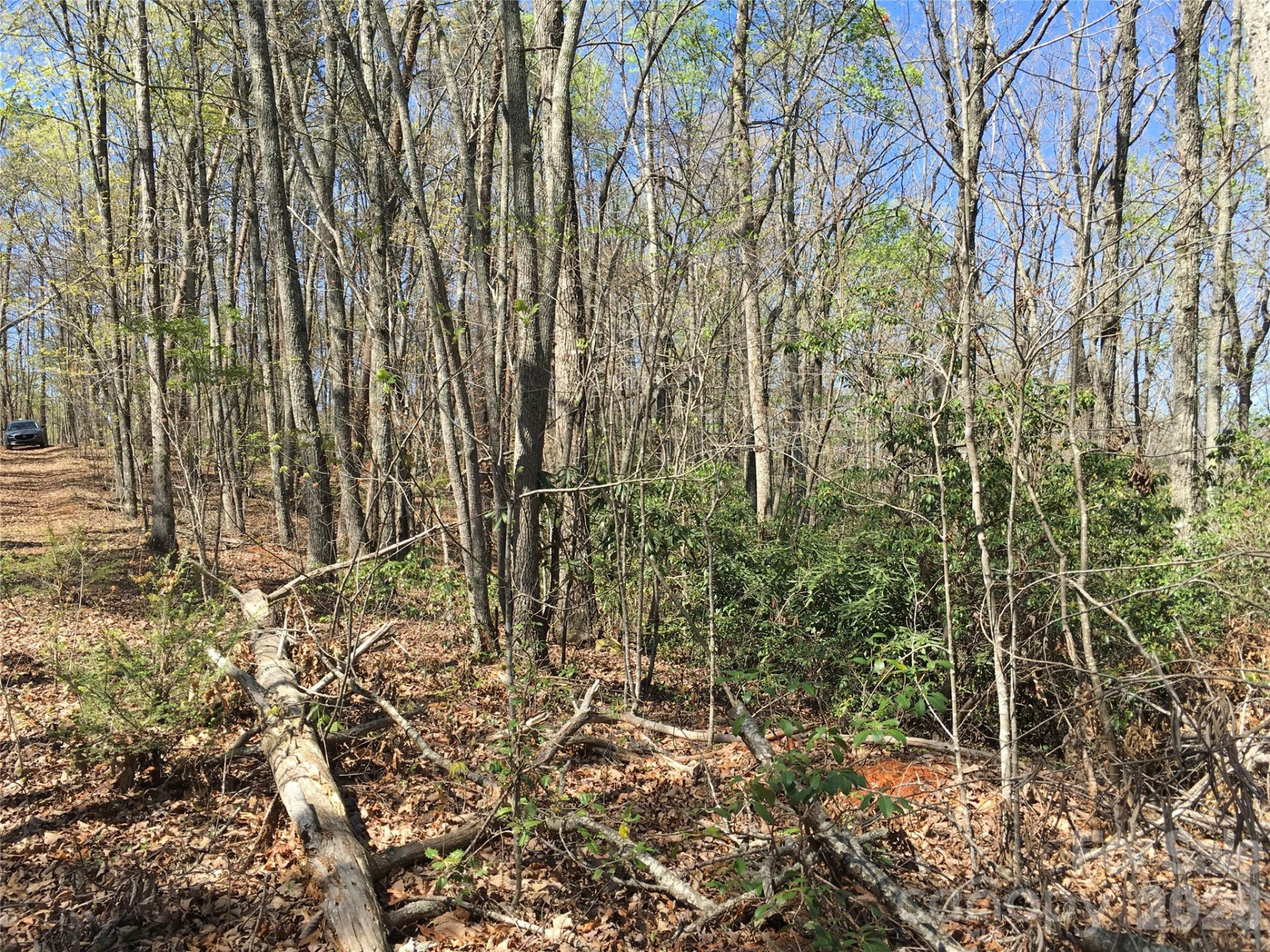 00 Lytle Mountain Road - Photo 40