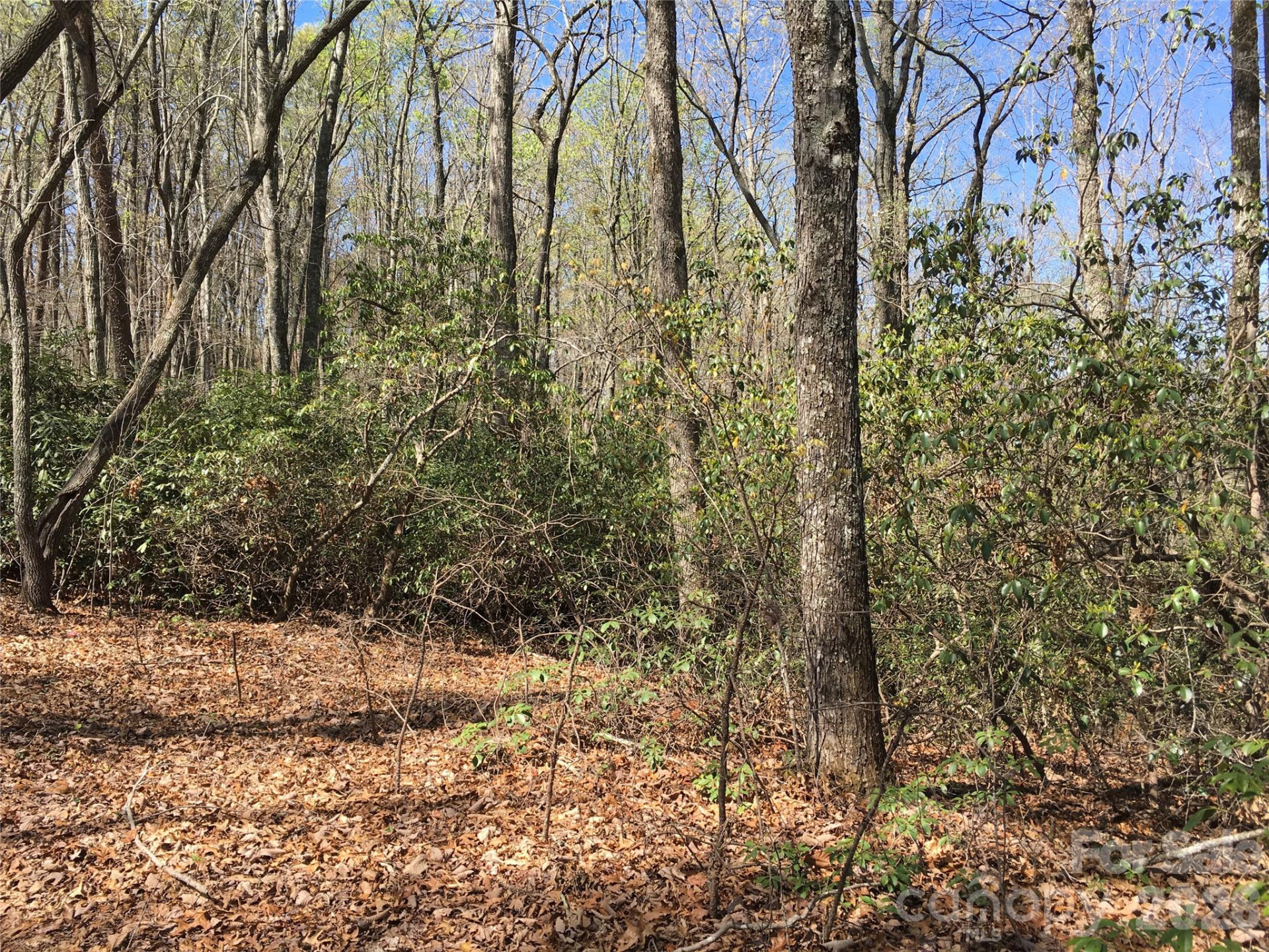 00 Lytle Mountain Road - Photo 41