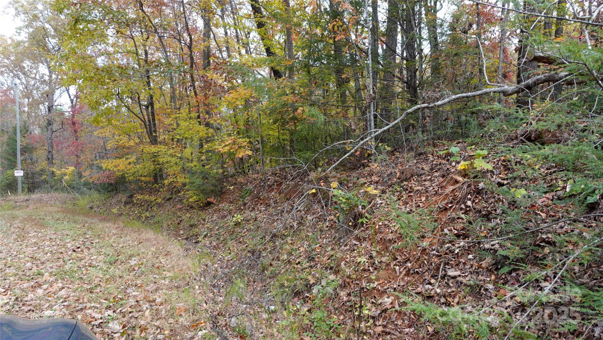 00 Lytle Mountain Road - Photo 4