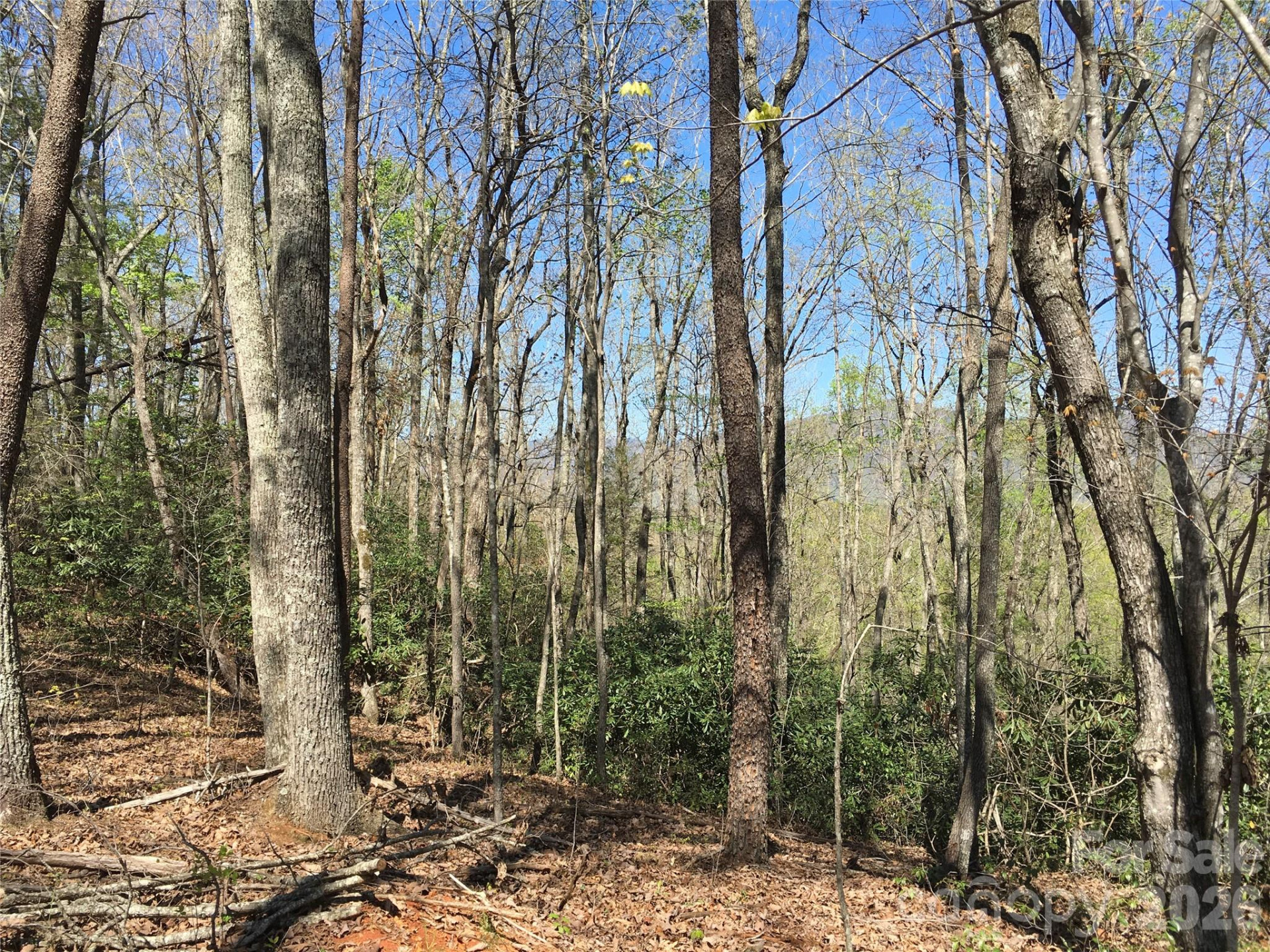 00 Lytle Mountain Road - Photo 42