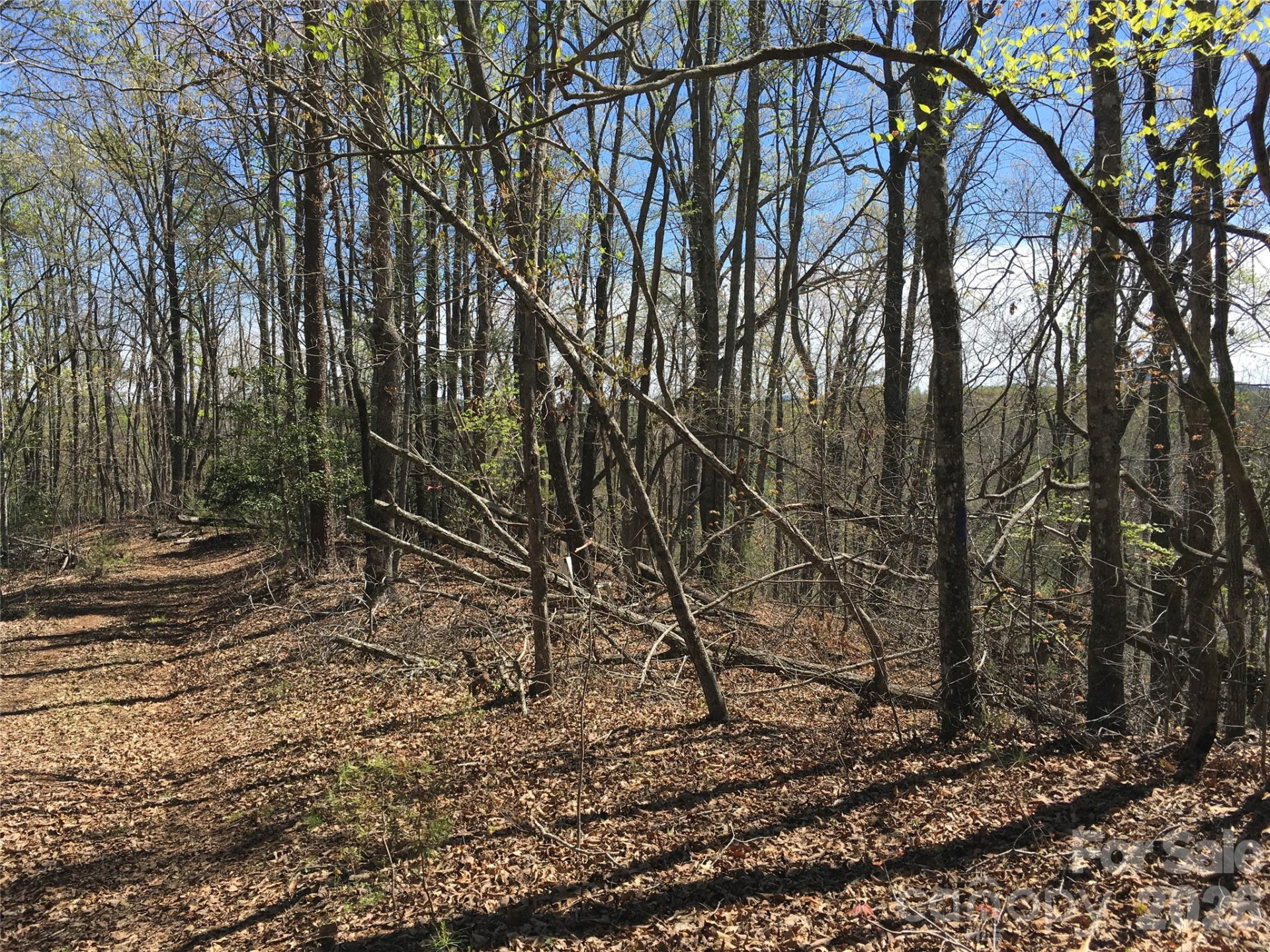 00 Lytle Mountain Road - Photo 43