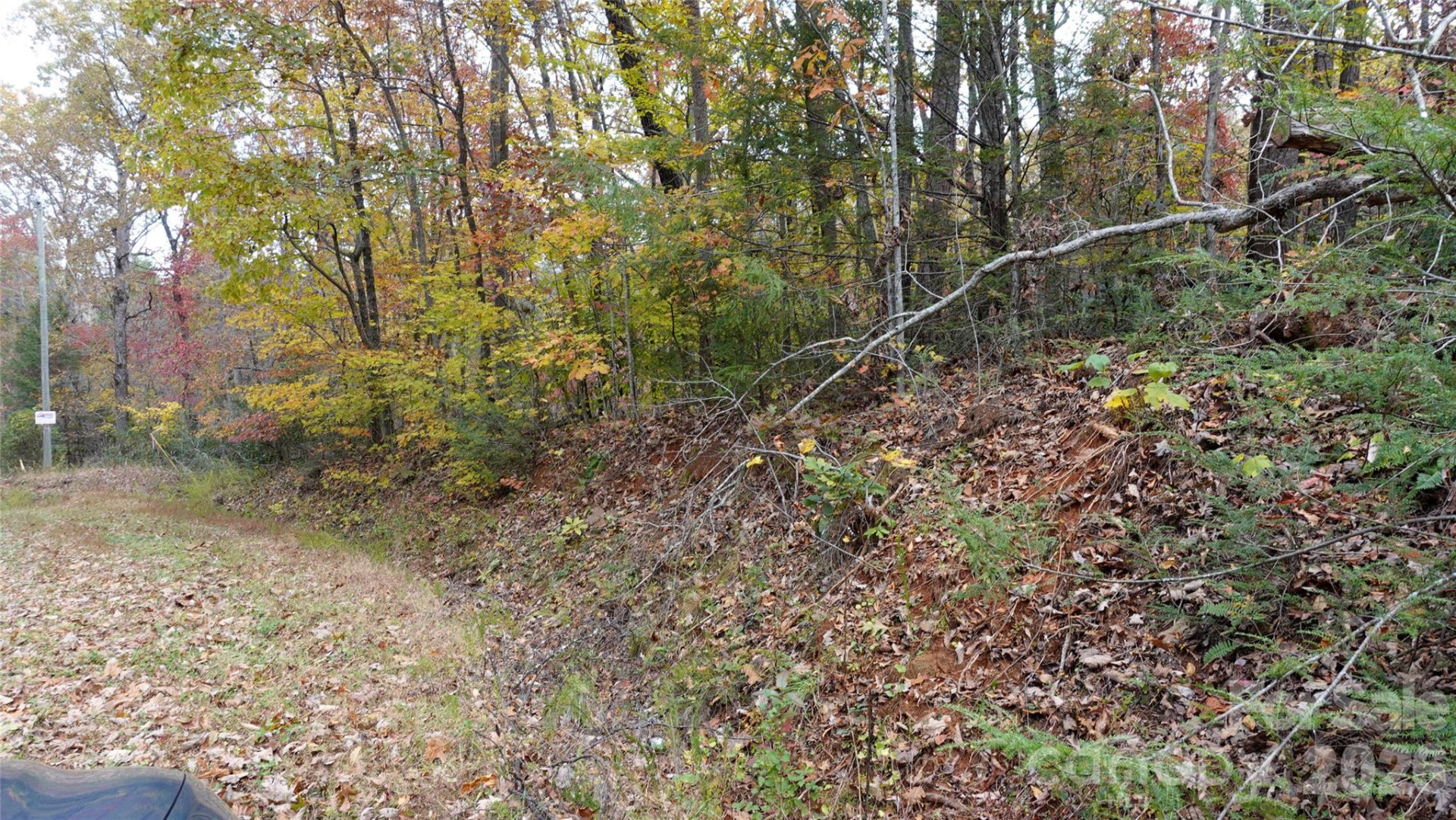 00 Lytle Mountain Road - Photo 44