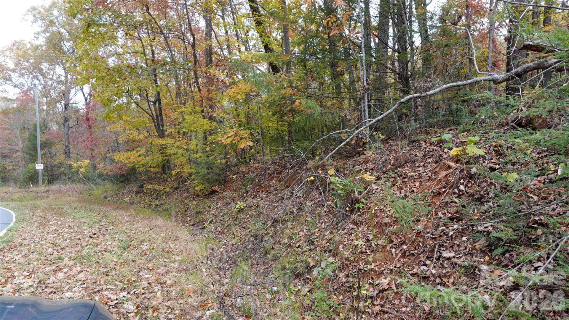 00 Lytle Mountain Road - Photo 45