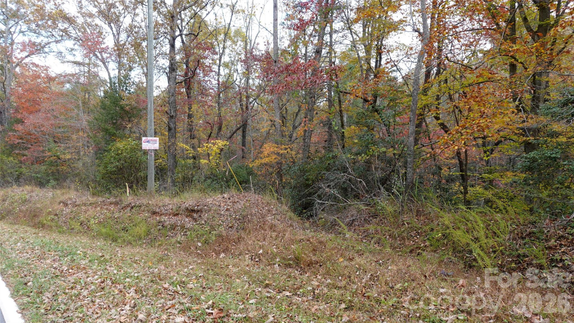 00 Lytle Mountain Road - Photo 47