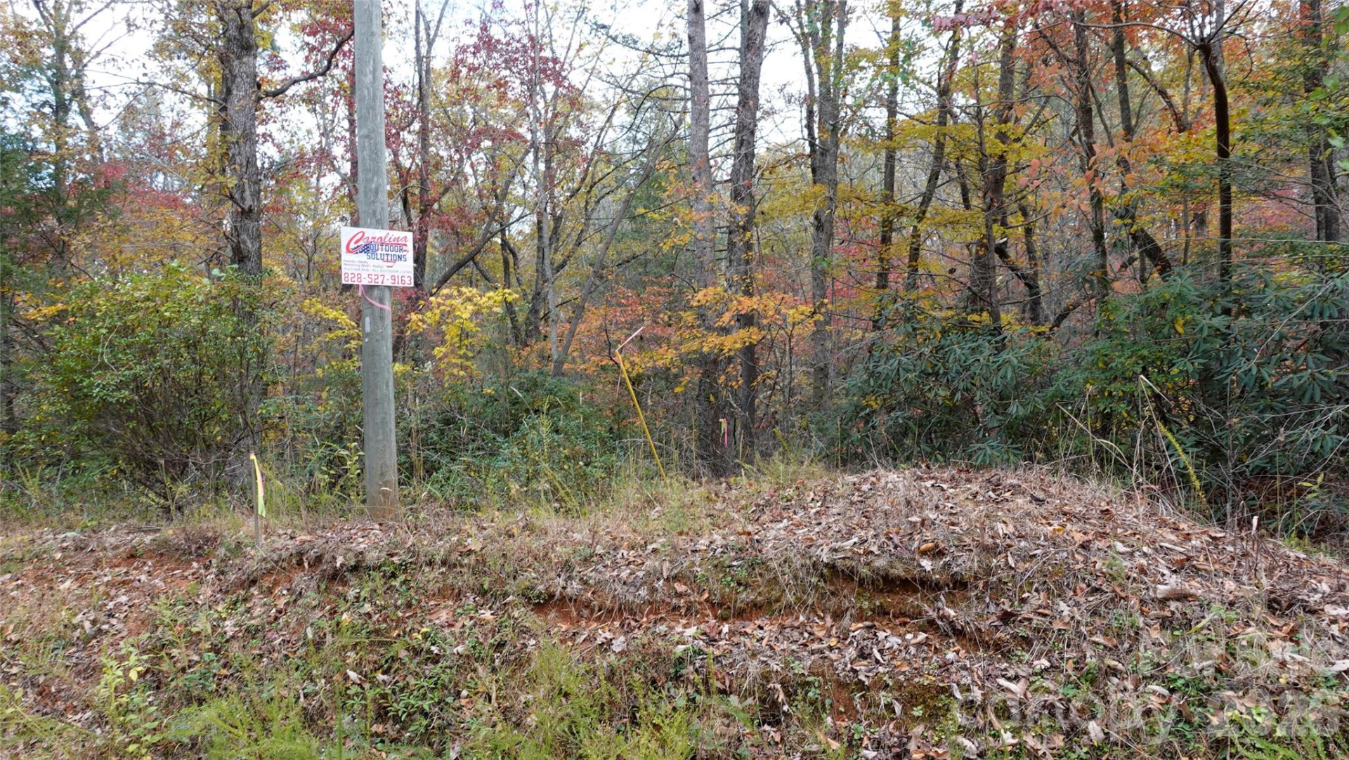 00 Lytle Mountain Road - Photo 49