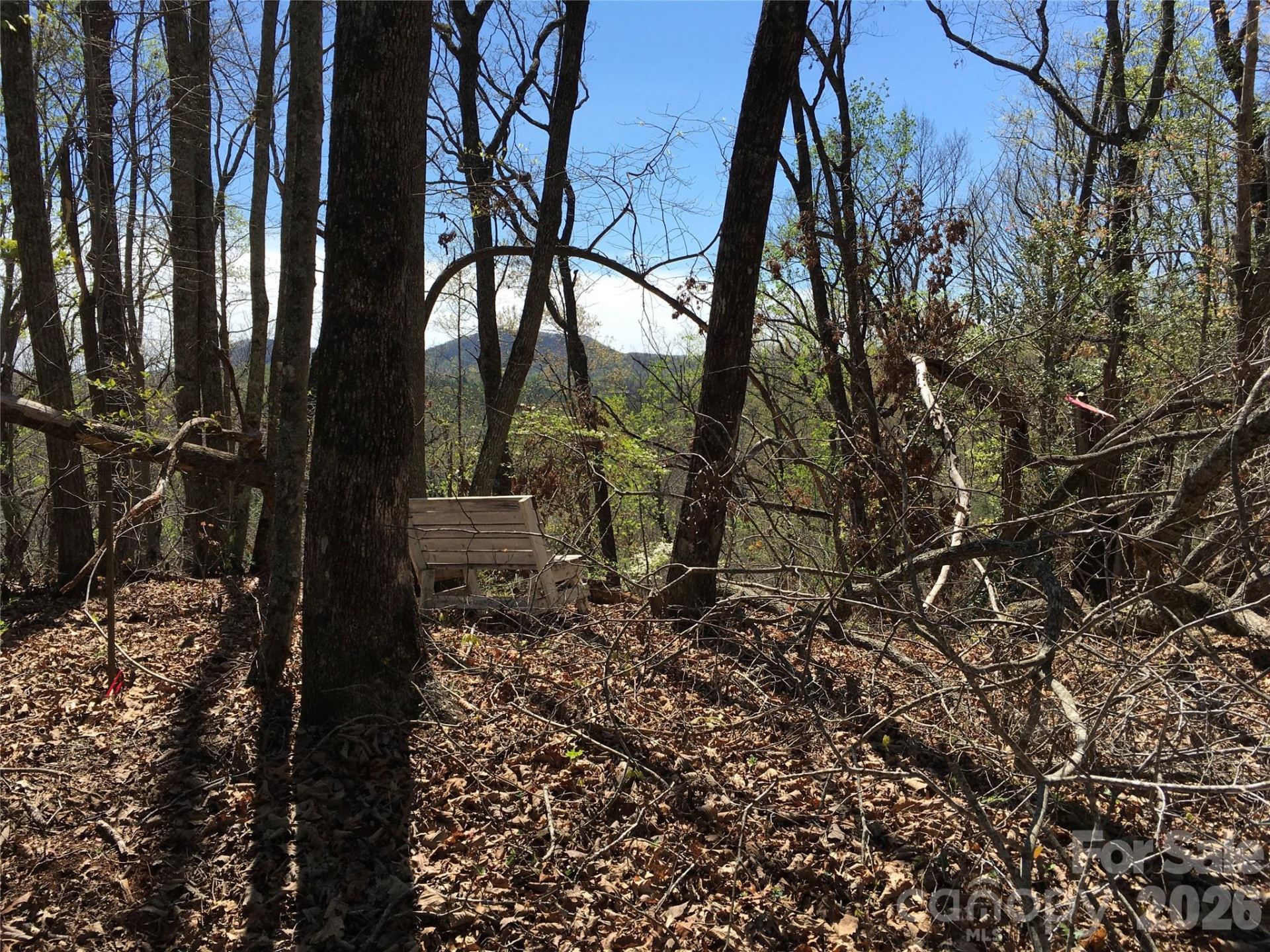 00 Lytle Mountain Road - Photo 51