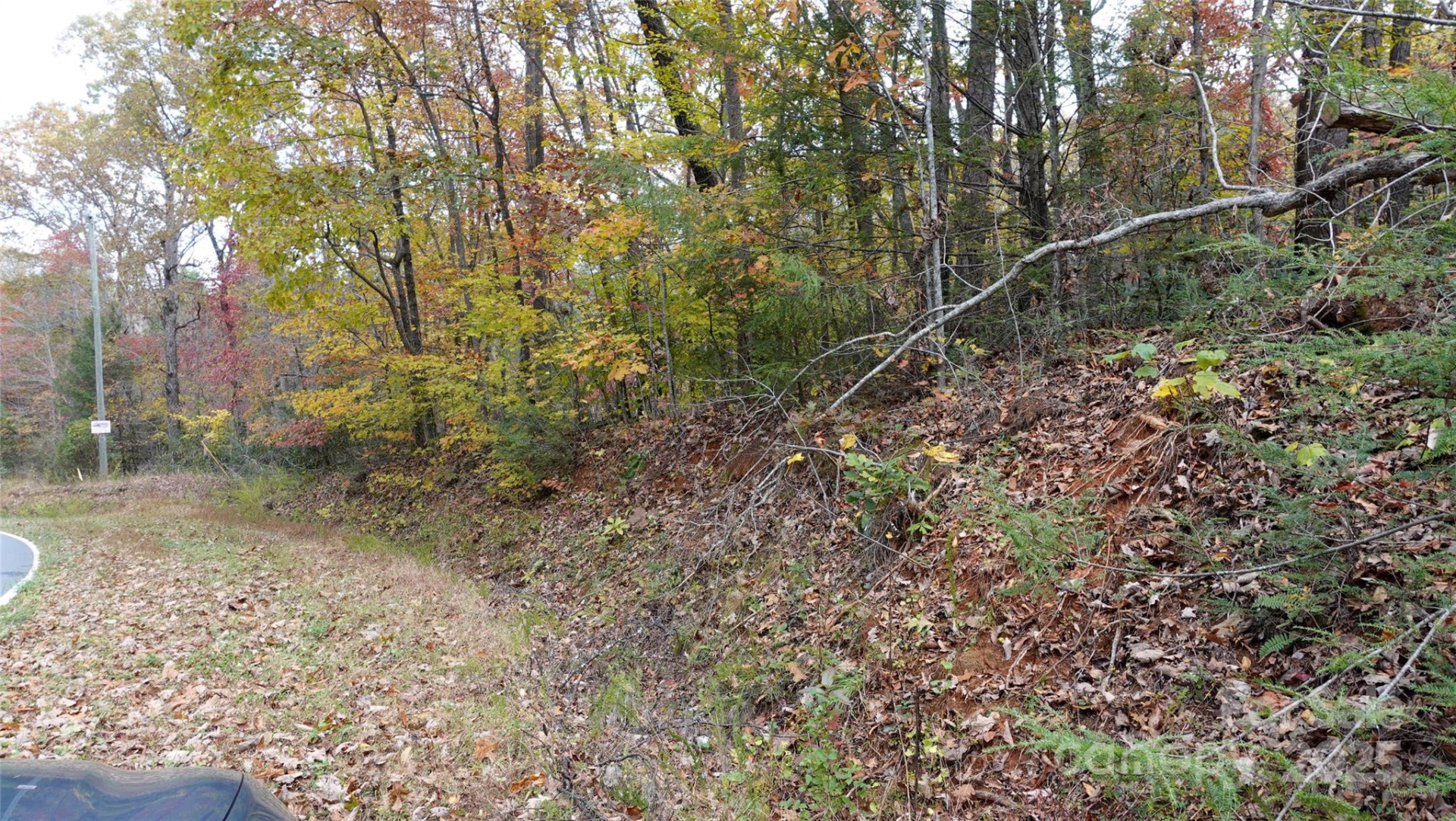 00 Lytle Mountain Road - Photo 5