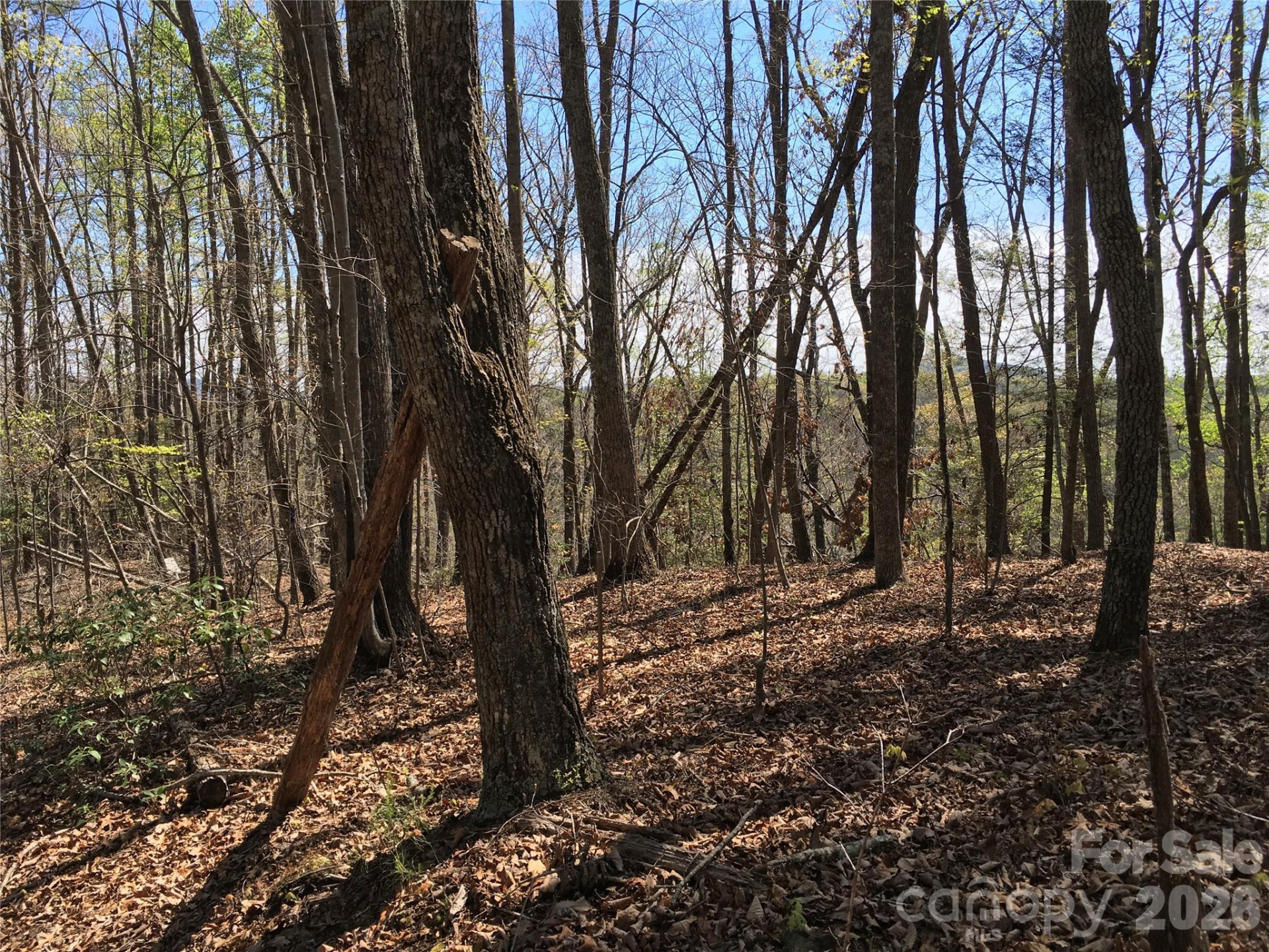 00 Lytle Mountain Road - Photo 52