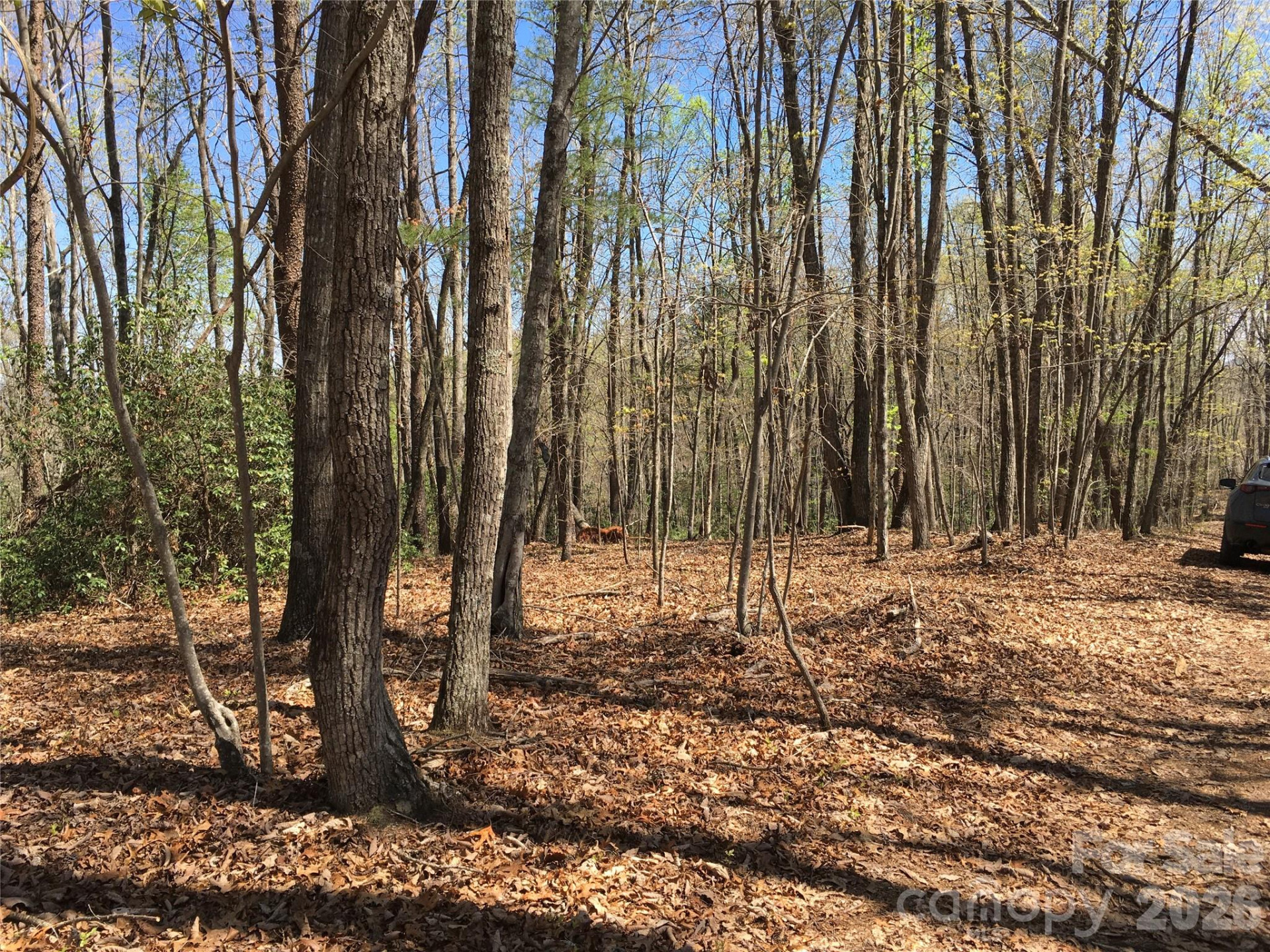 00 Lytle Mountain Road - Photo 54