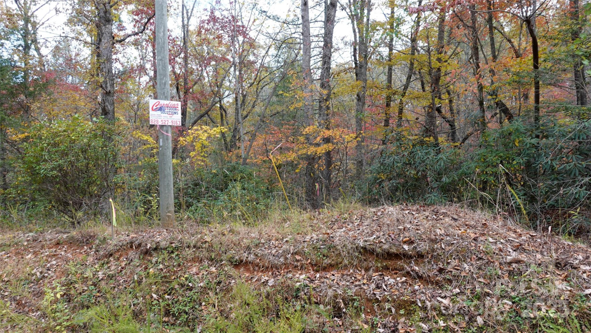 00 Lytle Mountain Road - Photo 10