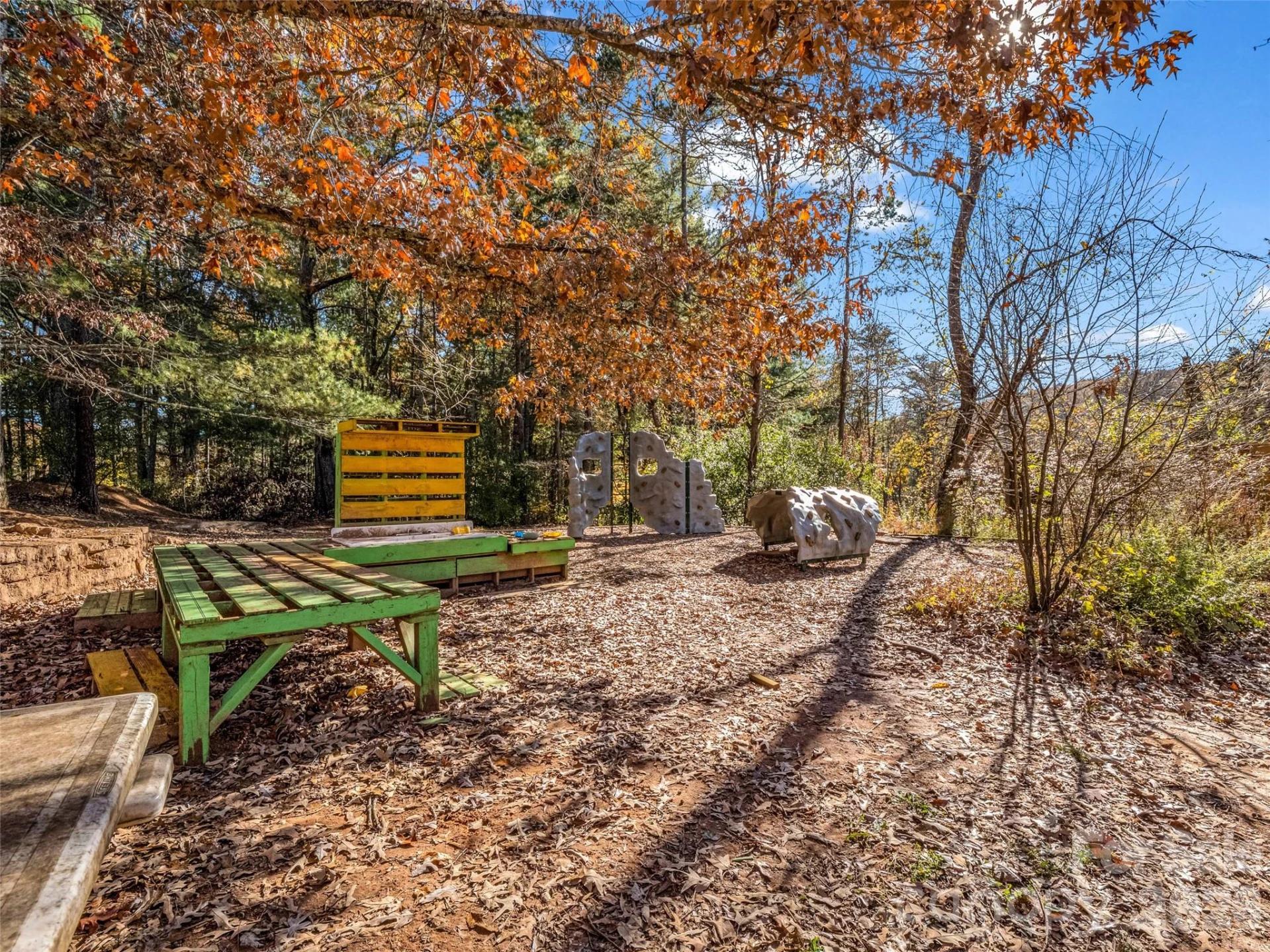 101 Bent Creek Ranch Road - Photo 87