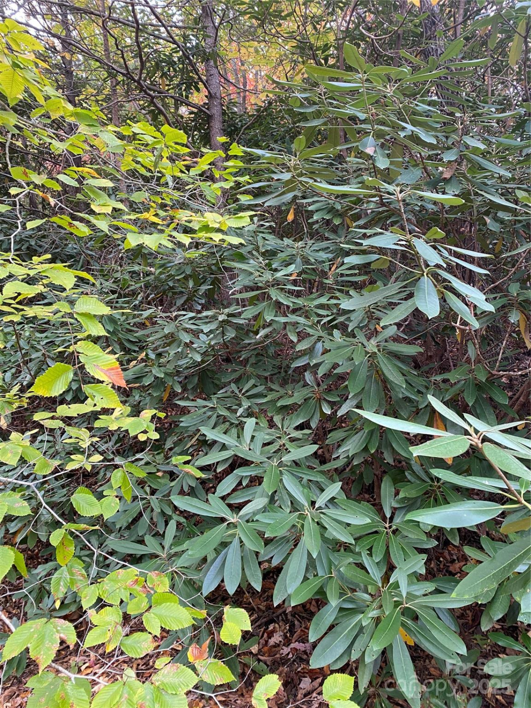 0000 Raleigh Drive #8 & 9 - Photo 2