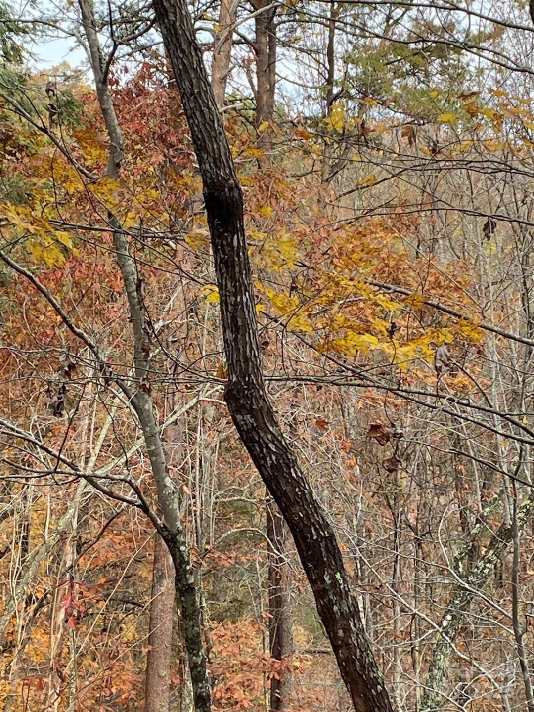 0000 Raleigh Drive #8 & 9 - Photo 11