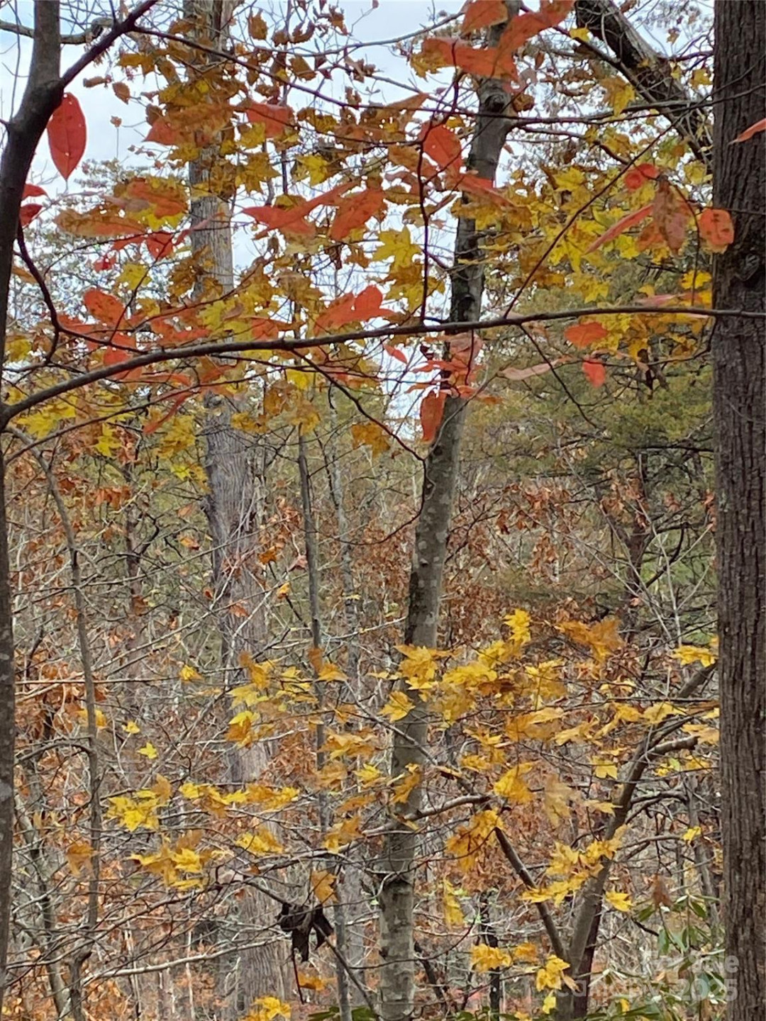 0000 Raleigh Drive #8 & 9 - Photo 12