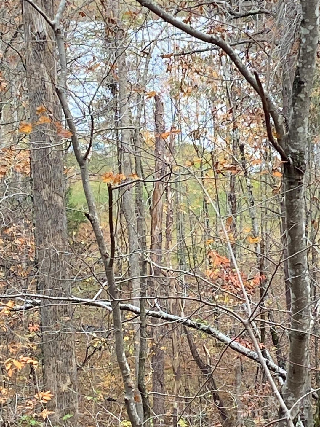 0000 Raleigh Drive #8 & 9 - Photo 14