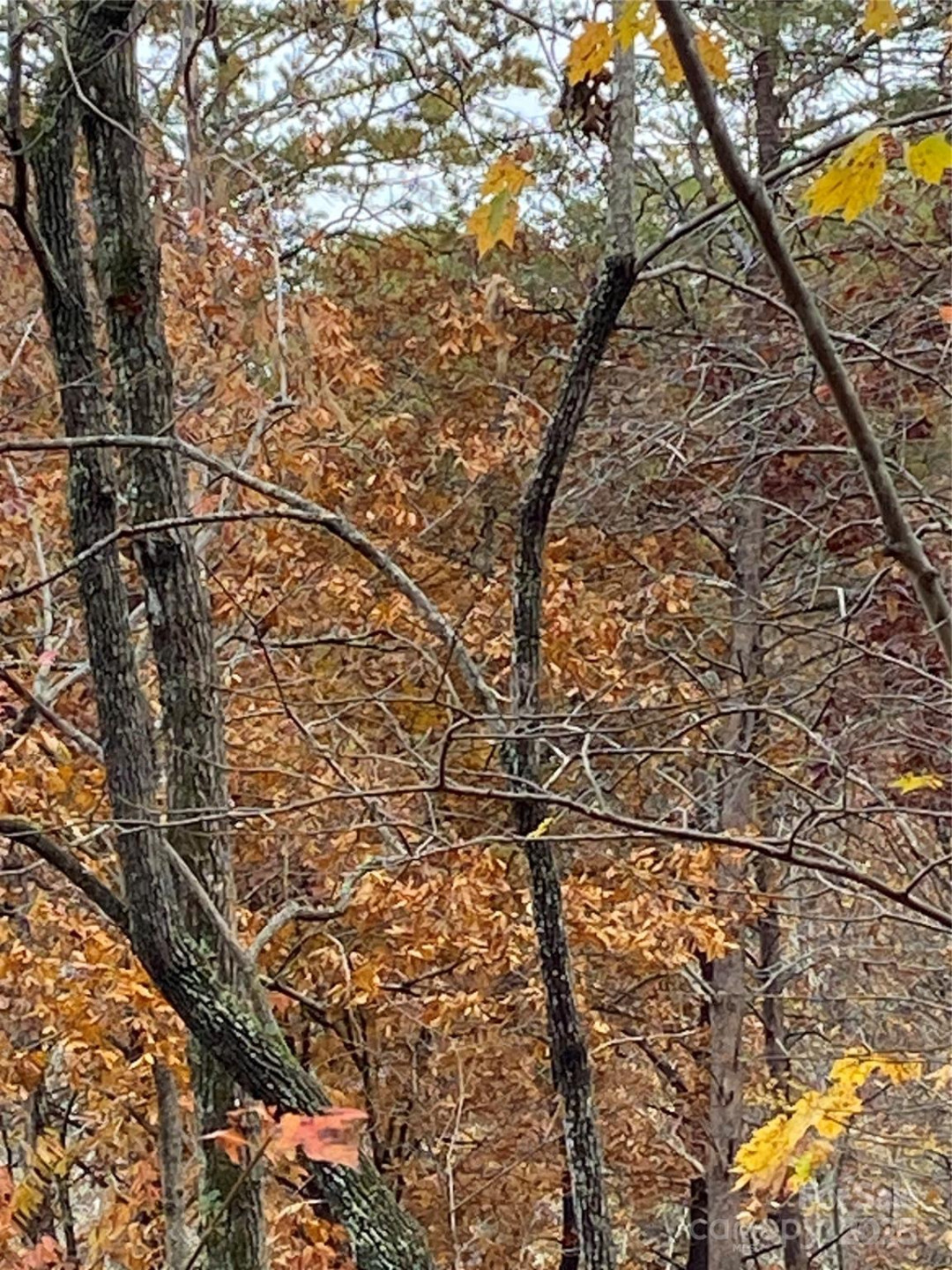 0000 Raleigh Drive #8 & 9 - Photo 17