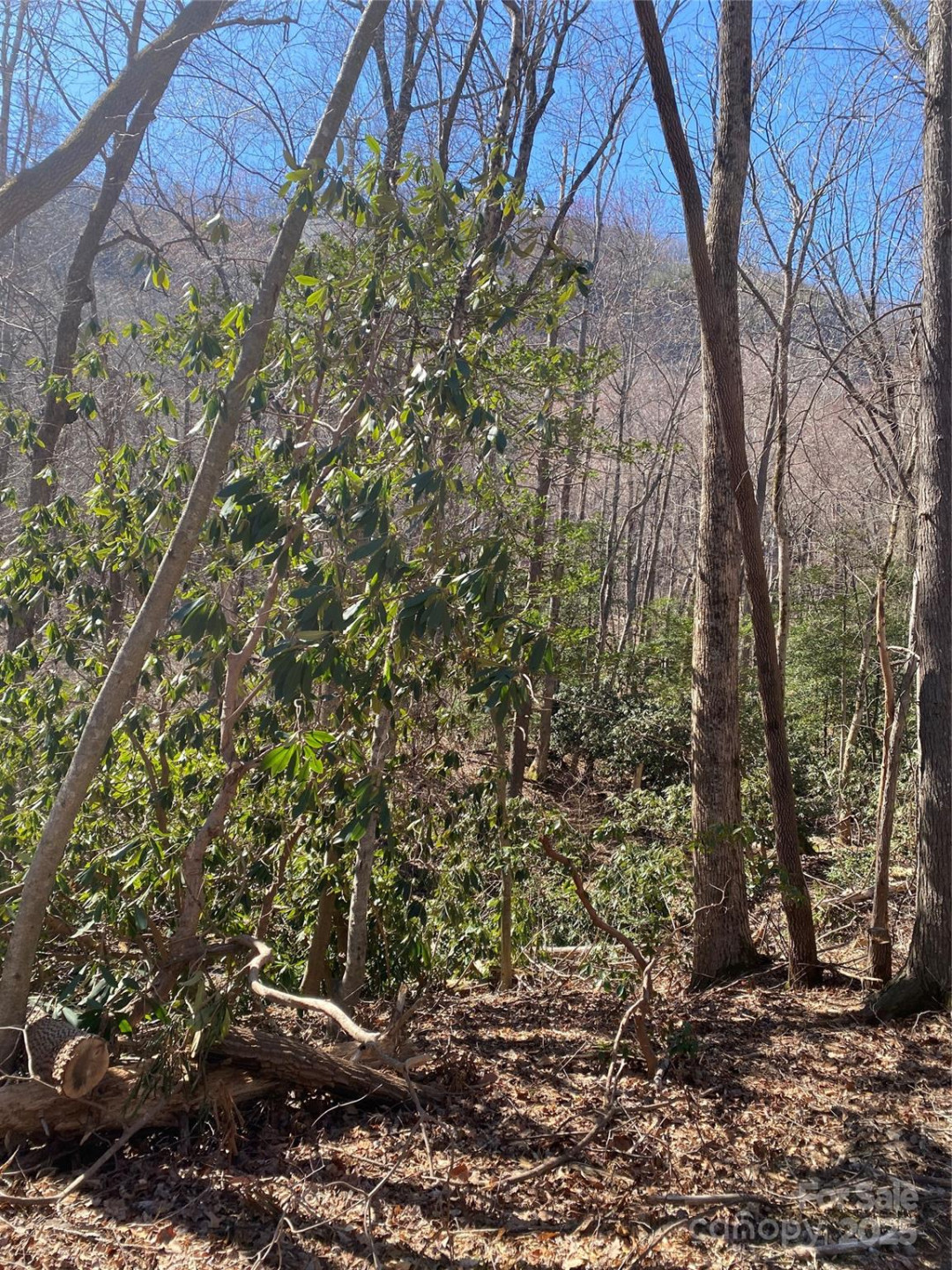 0000 Raleigh Drive #8 & 9 - Photo 3