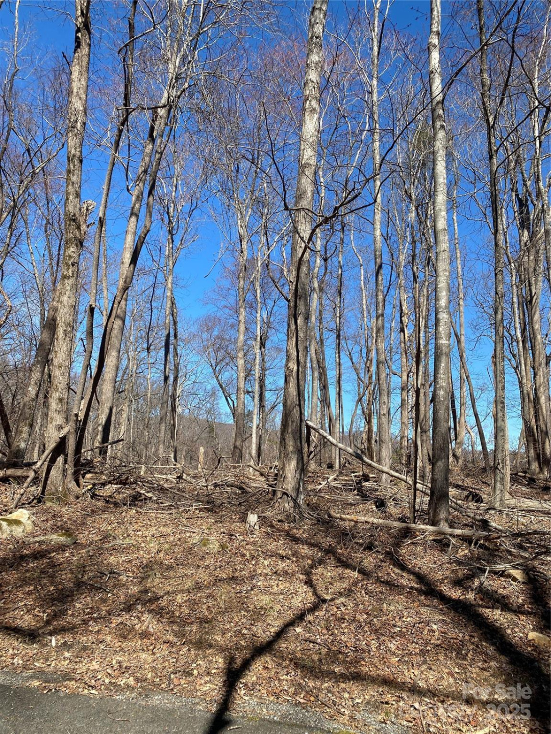 0000 Raleigh Drive #8 & 9 - Photo 4