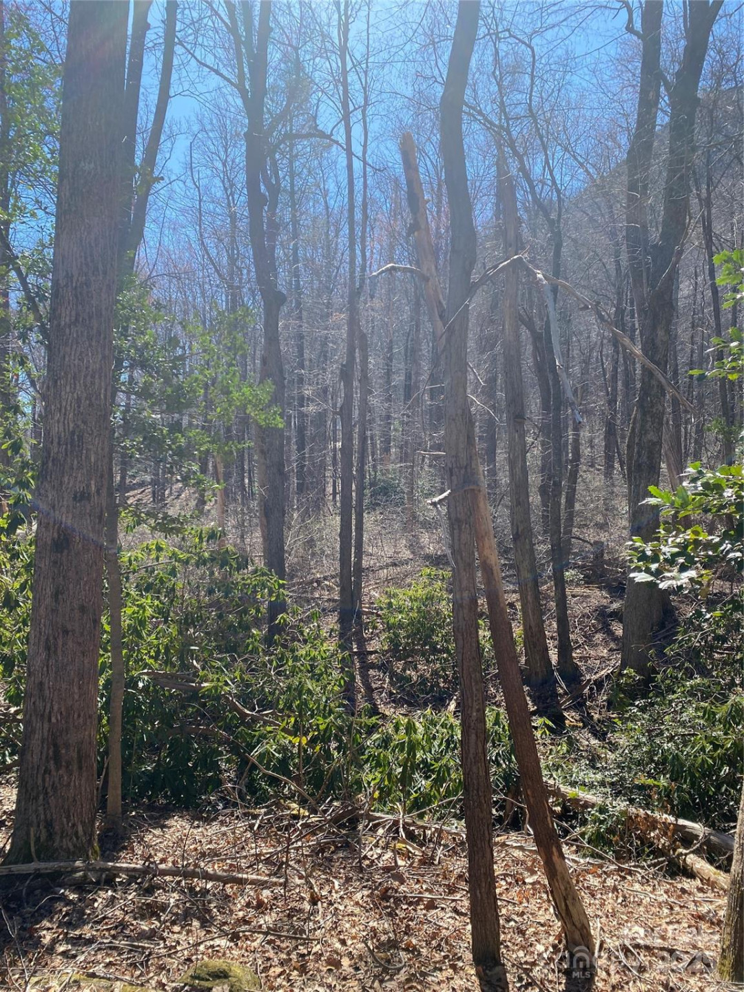 0000 Raleigh Drive #8 & 9 - Photo 5