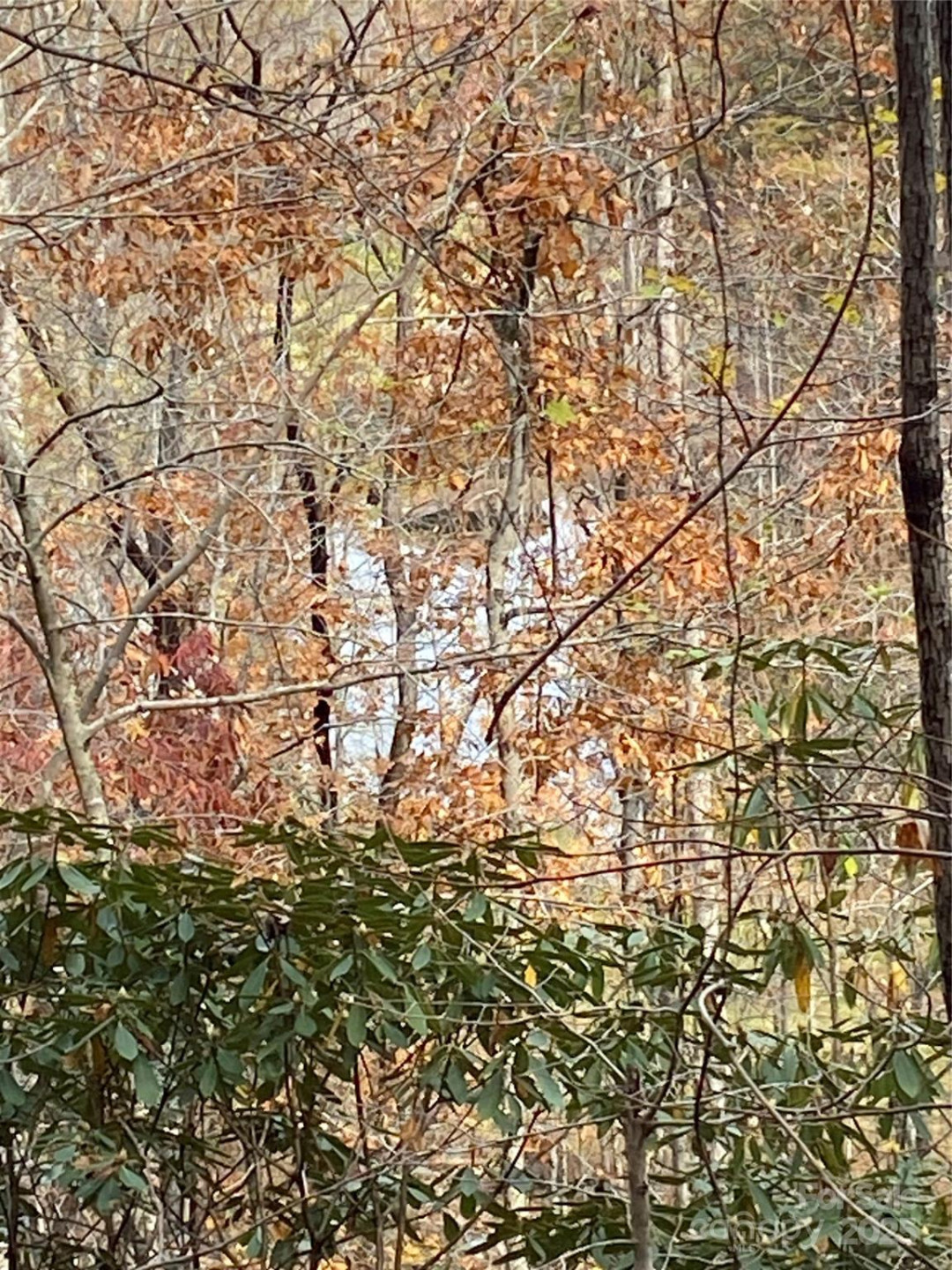 0000 Raleigh Drive #8 & 9 - Photo 6