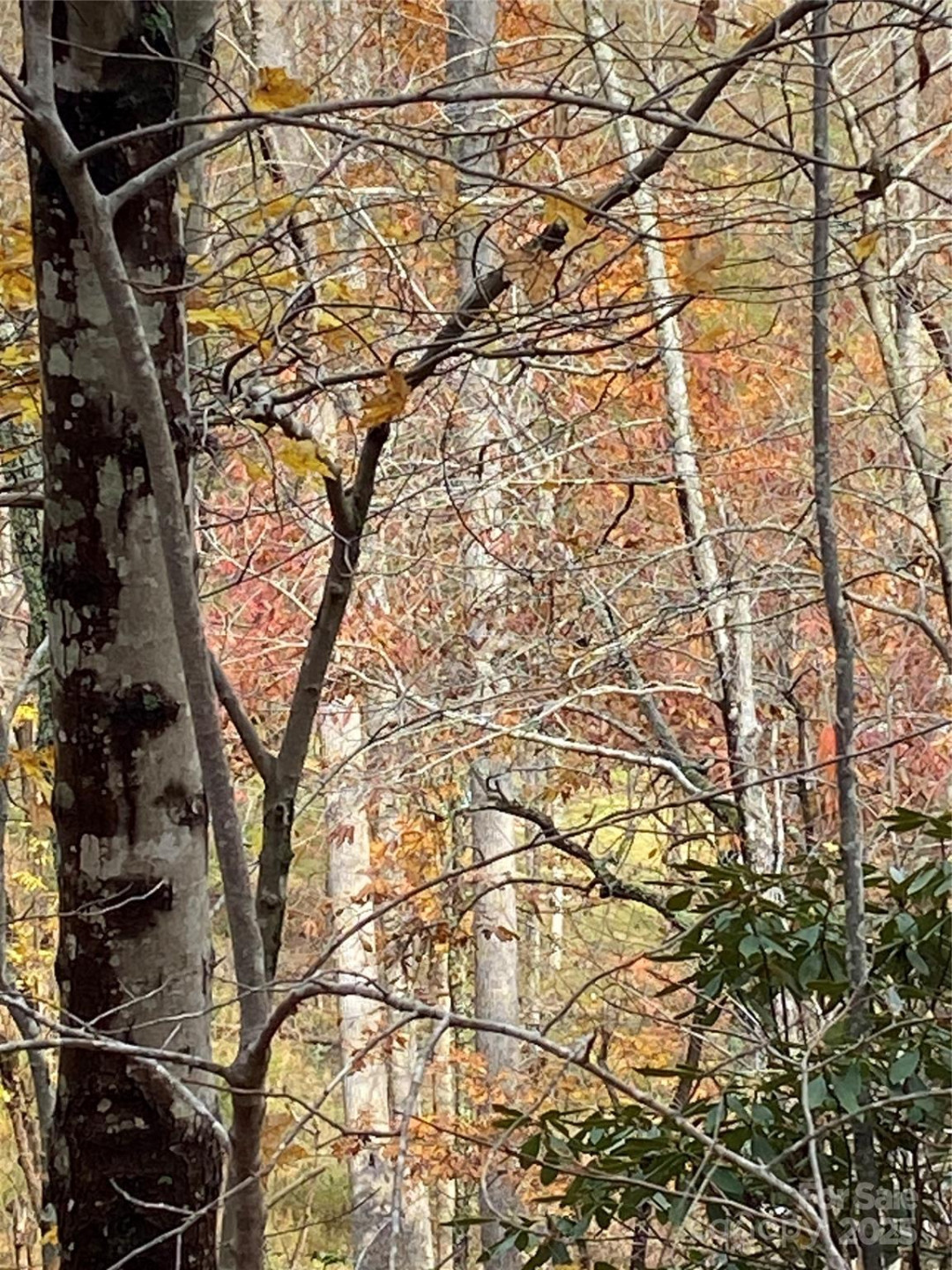 0000 Raleigh Drive #8 & 9 - Photo 7