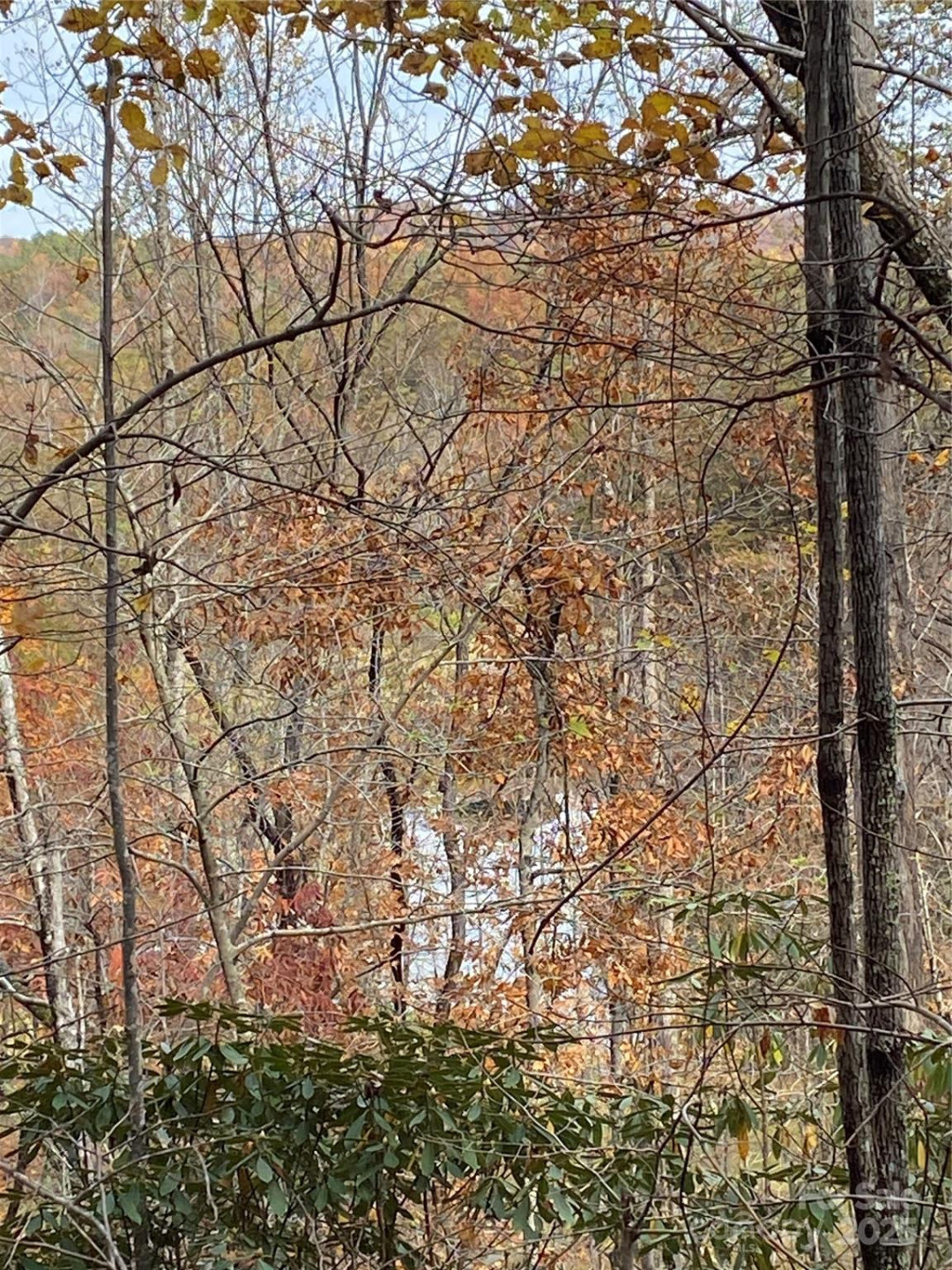 0000 Raleigh Drive #8 & 9 - Photo 8