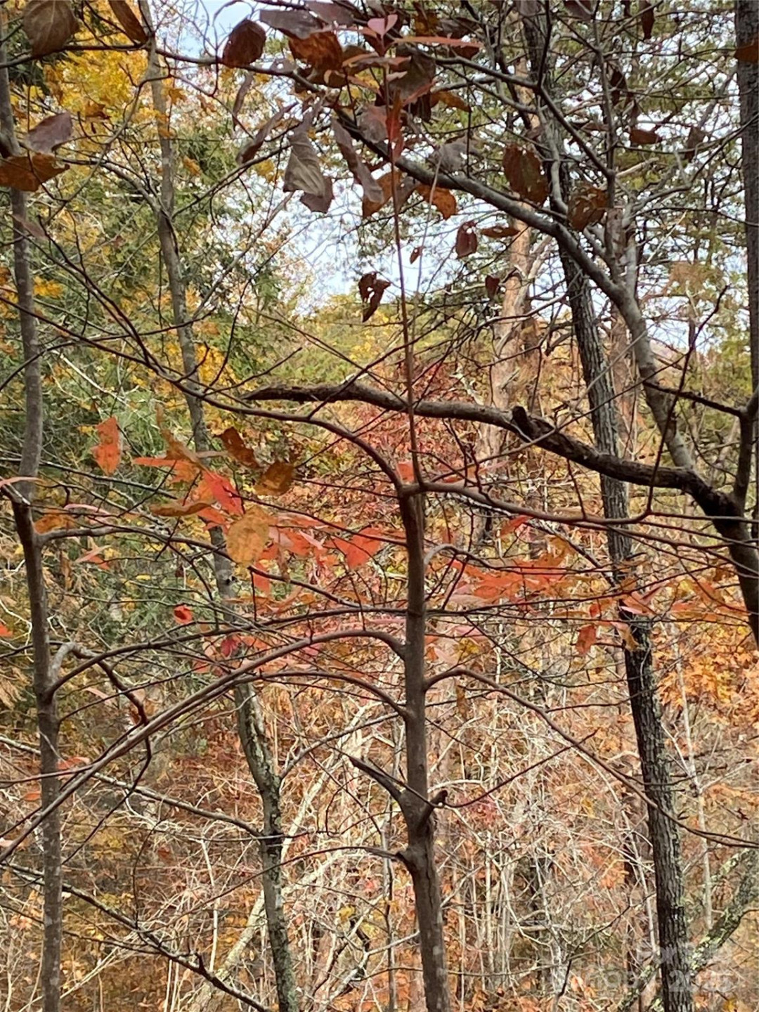 0000 Raleigh Drive #8 & 9 - Photo 9