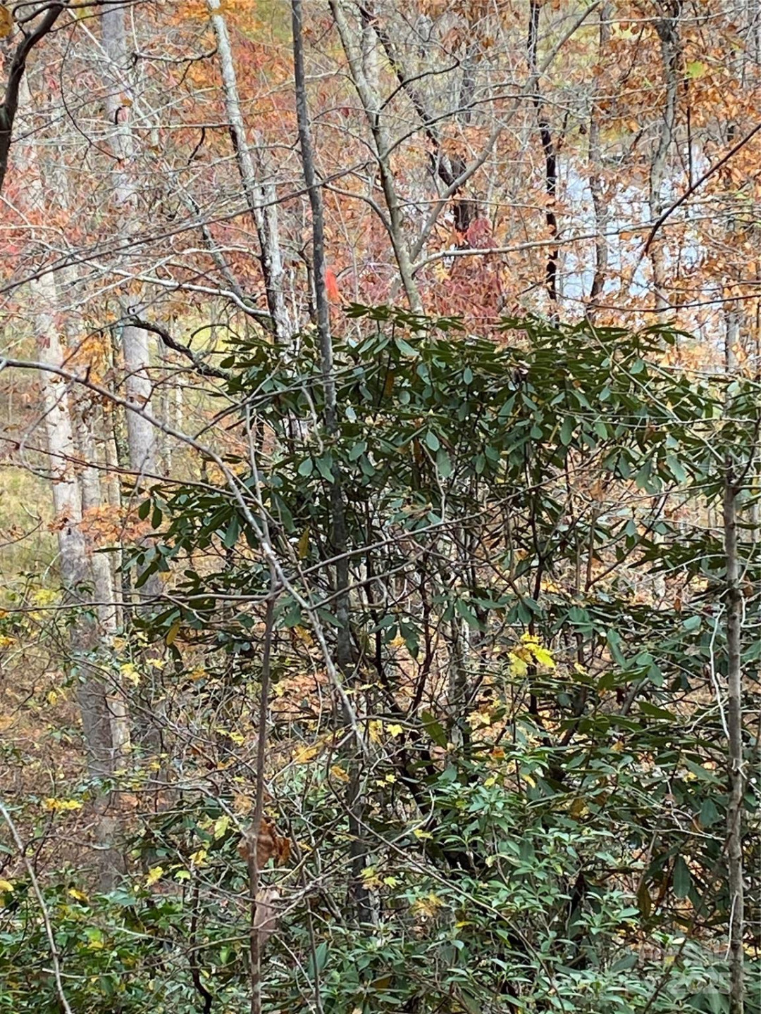 0000 Raleigh Drive #8 & 9 - Photo 10