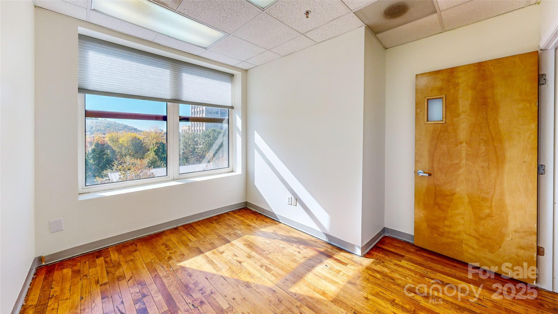 124 College Street - Photo 13