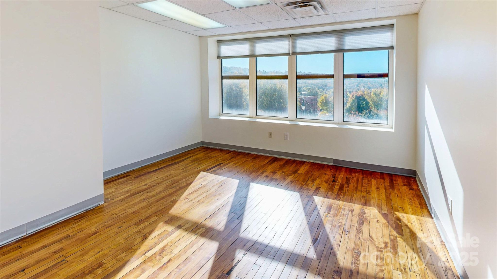 124 College Street - Photo 9