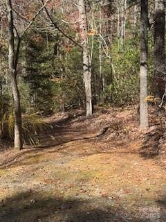 667 Pinewood Knoll Drive - Photo 21