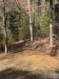 667 Pinewood Knoll Drive - Photo 41