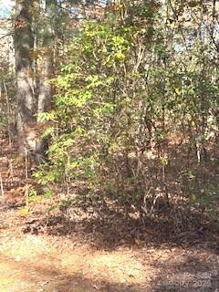 667 Pinewood Knoll Drive - Photo 22