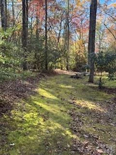 667 Pinewood Knoll Drive - Photo 45