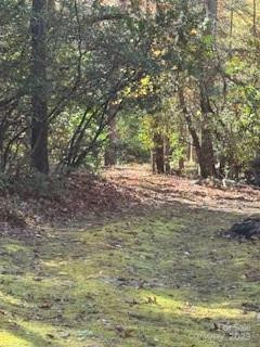 667 Pinewood Knoll Drive - Photo 24