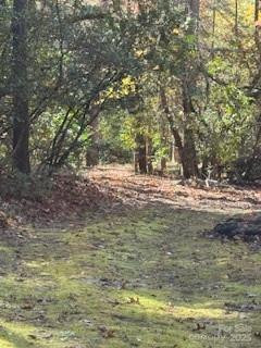 667 Pinewood Knoll Drive - Photo 25