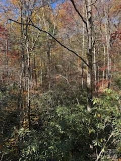 667 Pinewood Knoll Drive - Photo 28