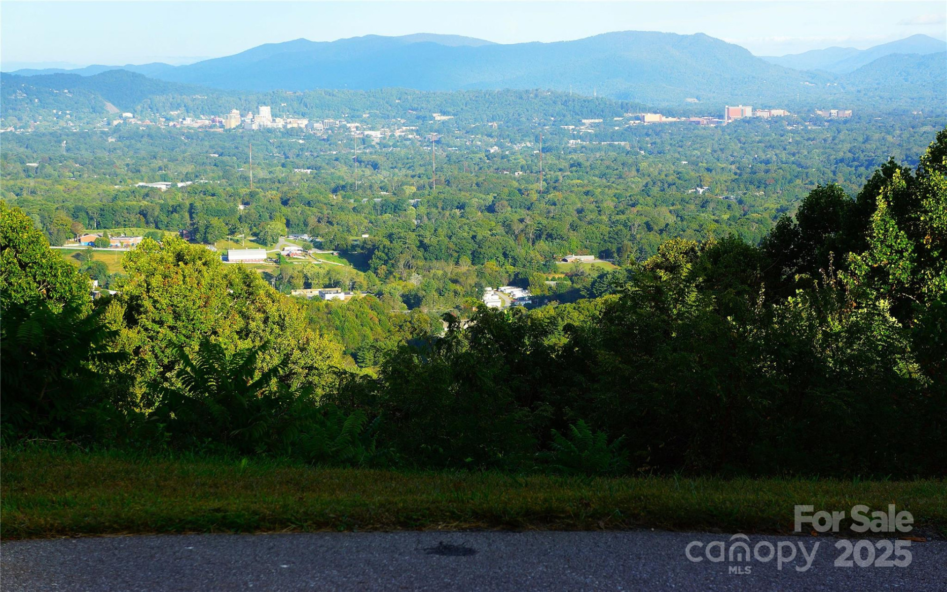 0 Woodpecker Ridge Lane #19 - Photo 8