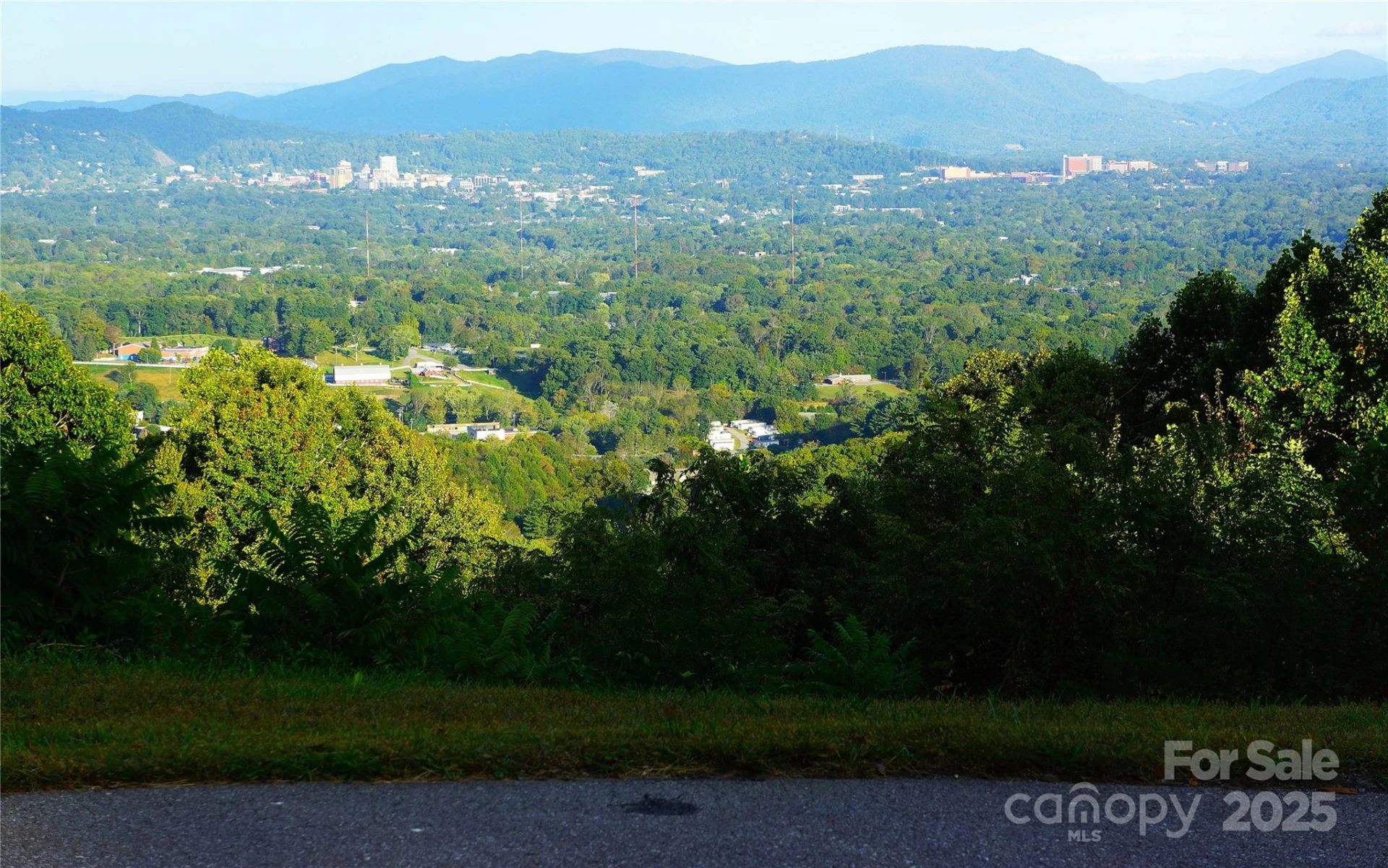0 Woodpecker Ridge Lane #19 - Photo 8