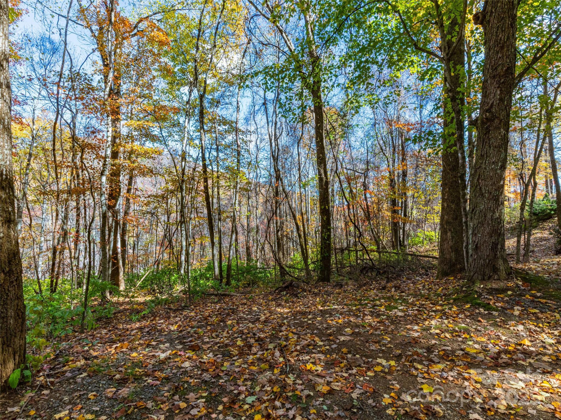 00 Village Lane #Lot 1