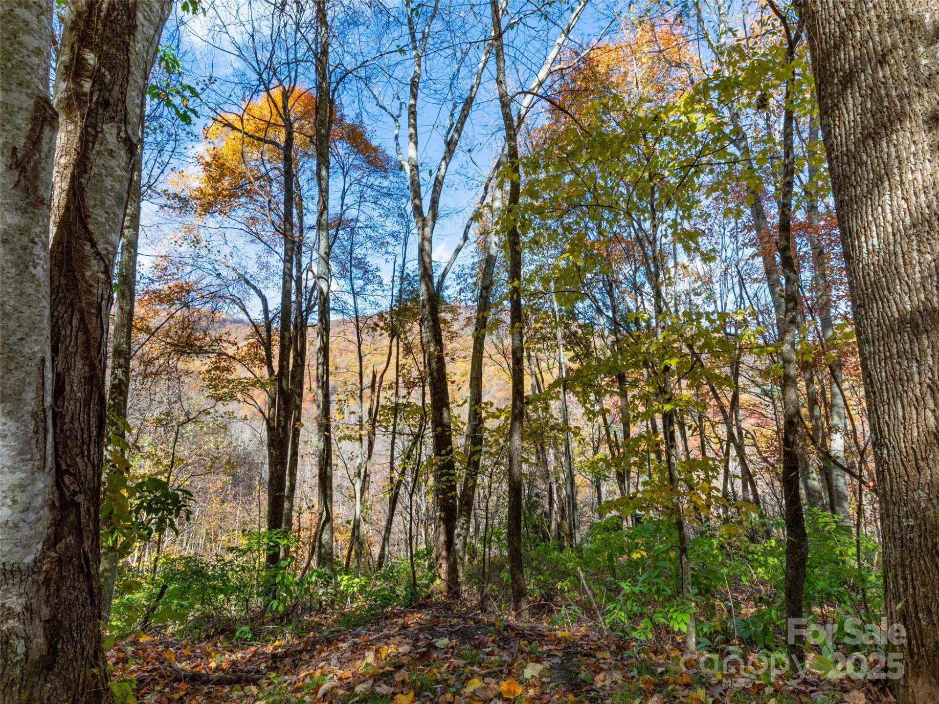 00 Village Lane #Lot 1 - Photo 2
