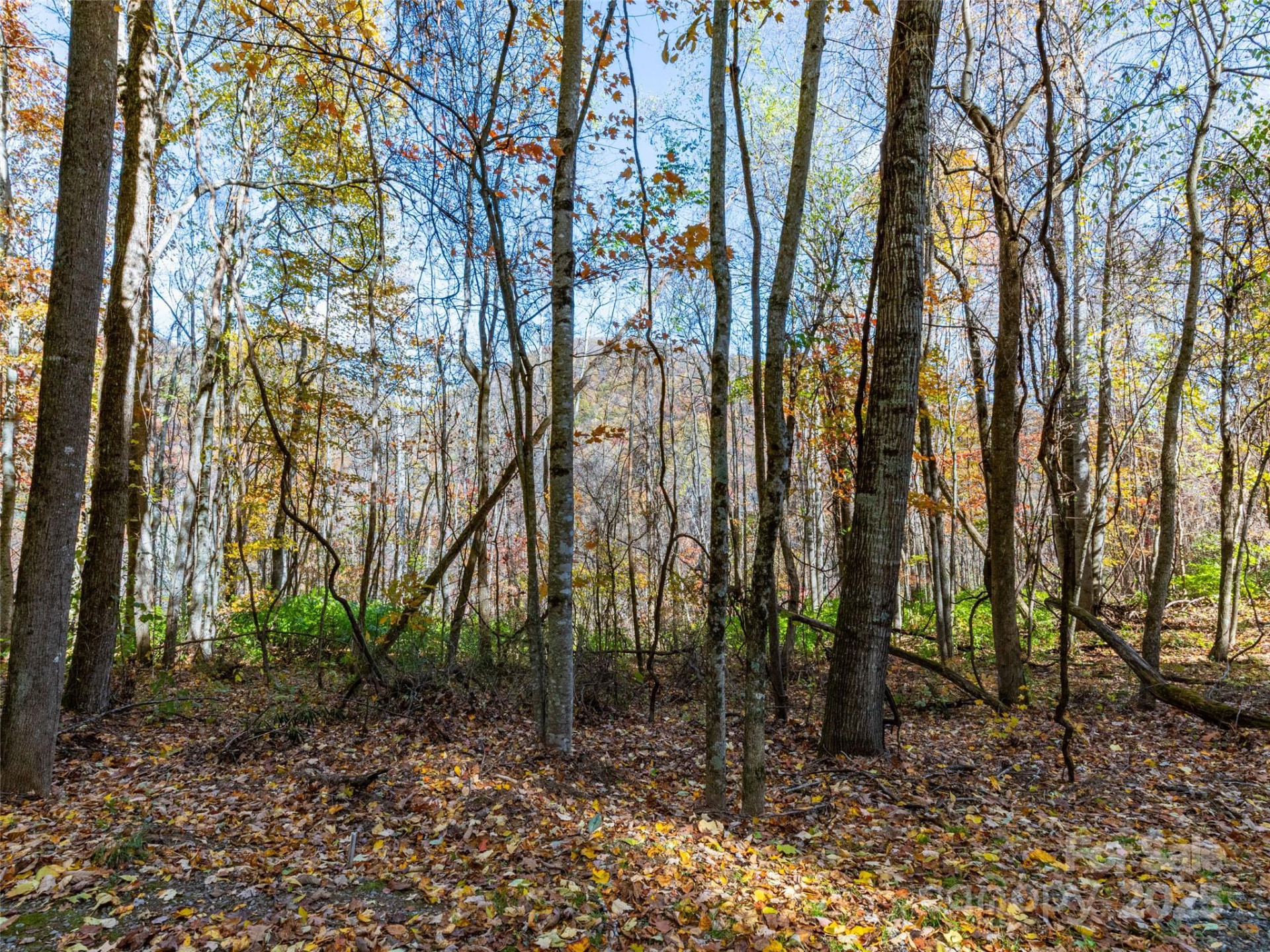 00 Village Lane #Lot 1 - Photo 3