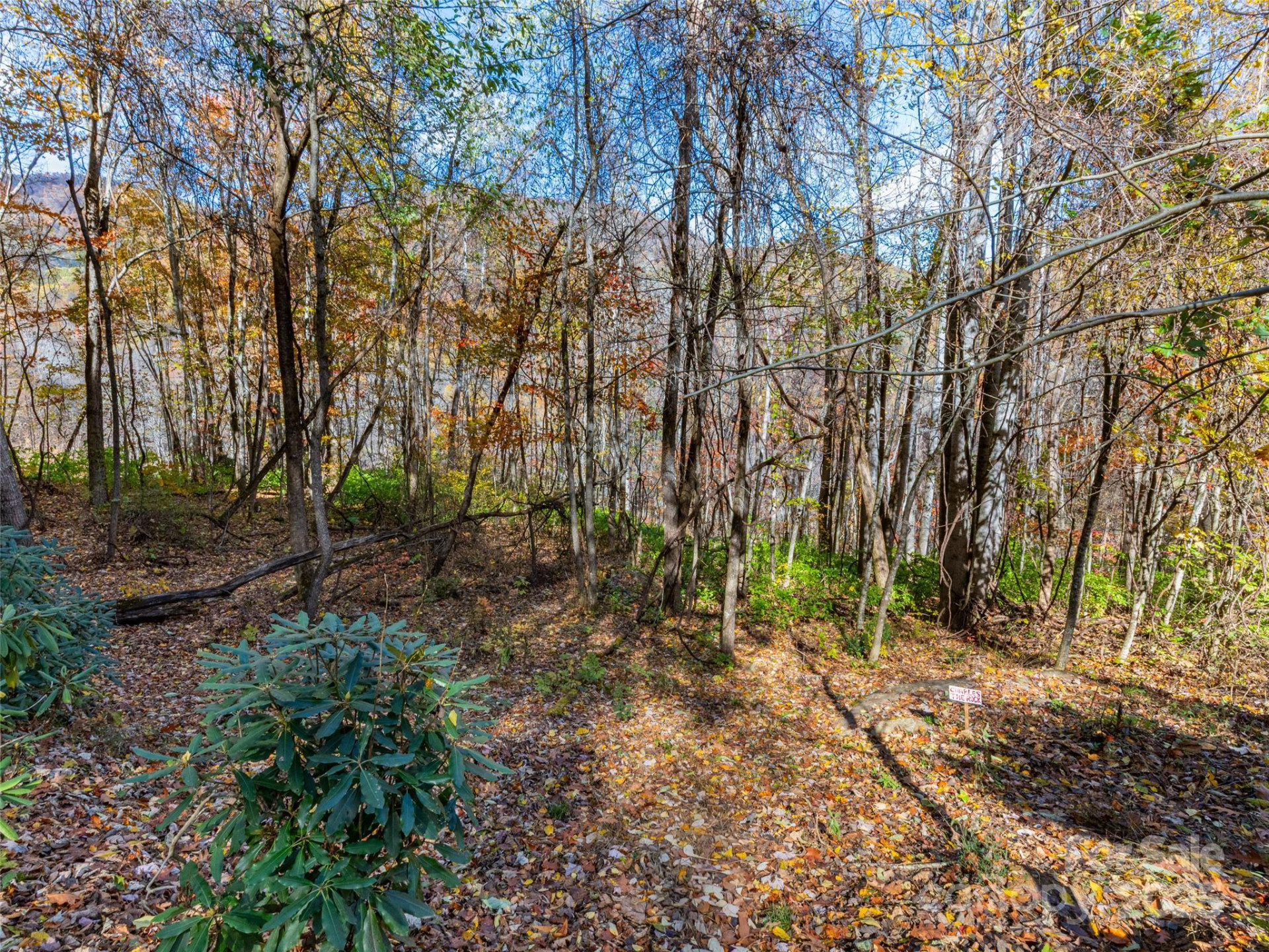00 Village Lane #Lot 1 - Photo 4