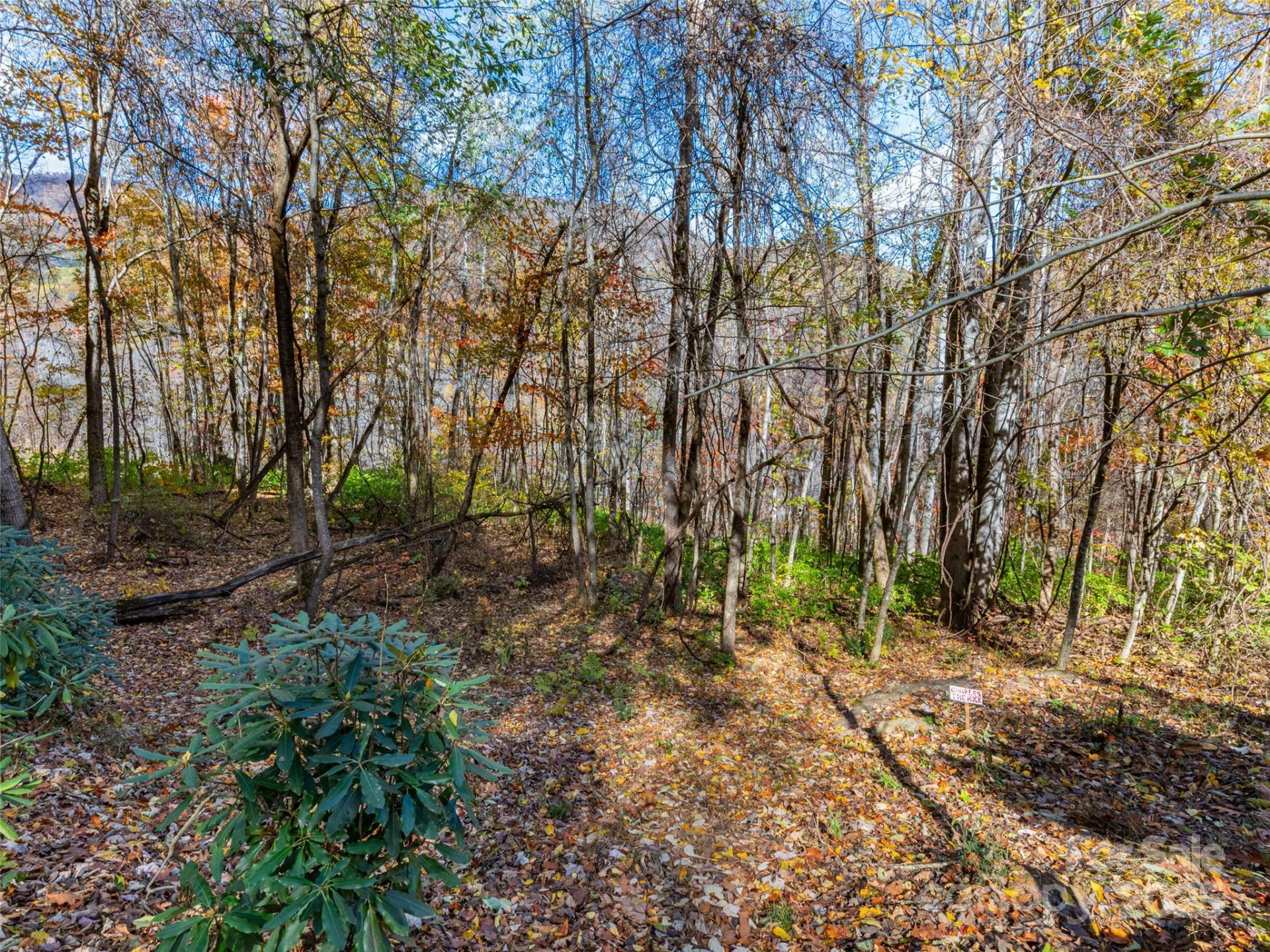 00 Village Lane #Lot 1 - Photo 4