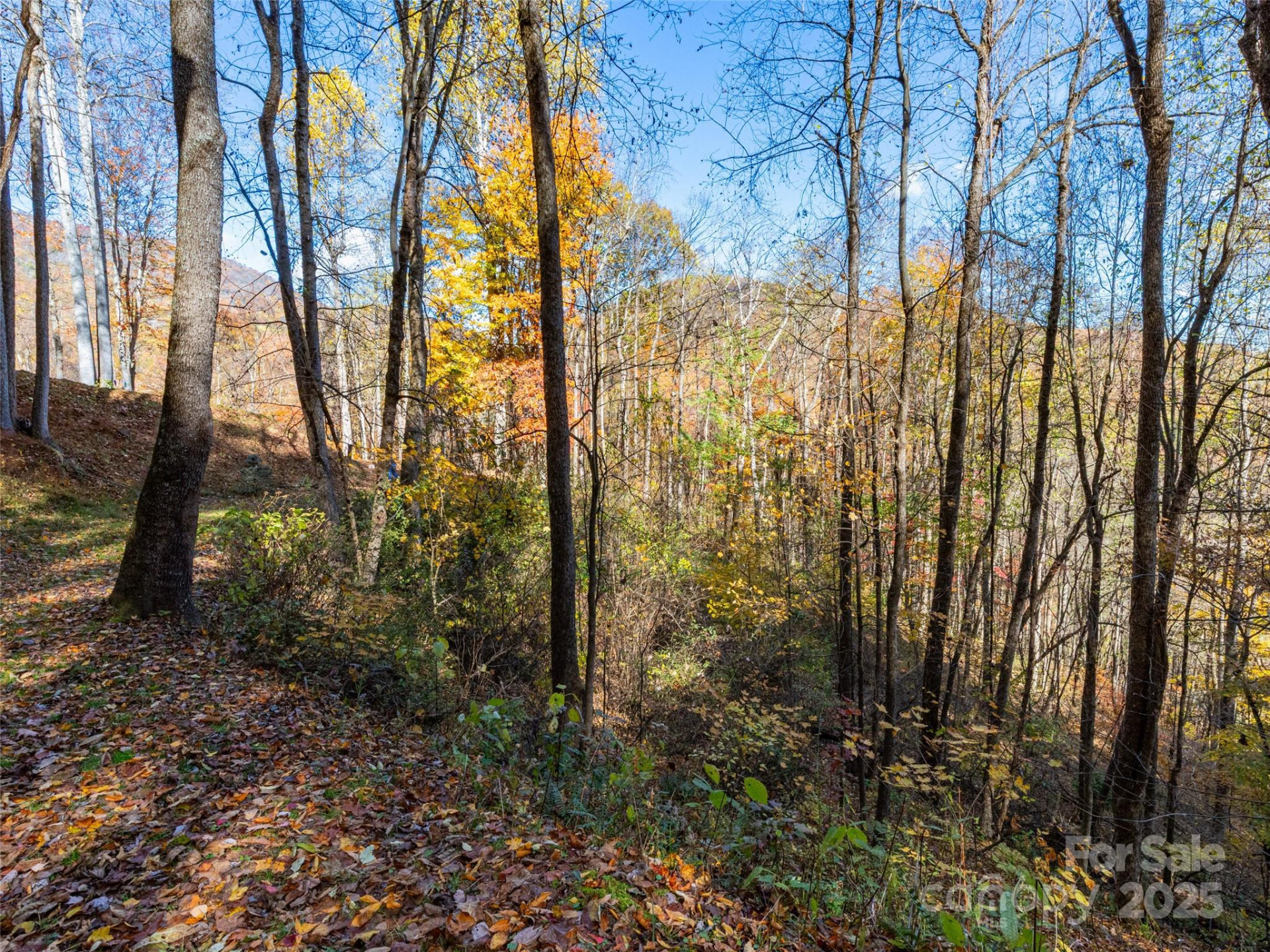 00 Village Lane #Lot 1 - Photo 7
